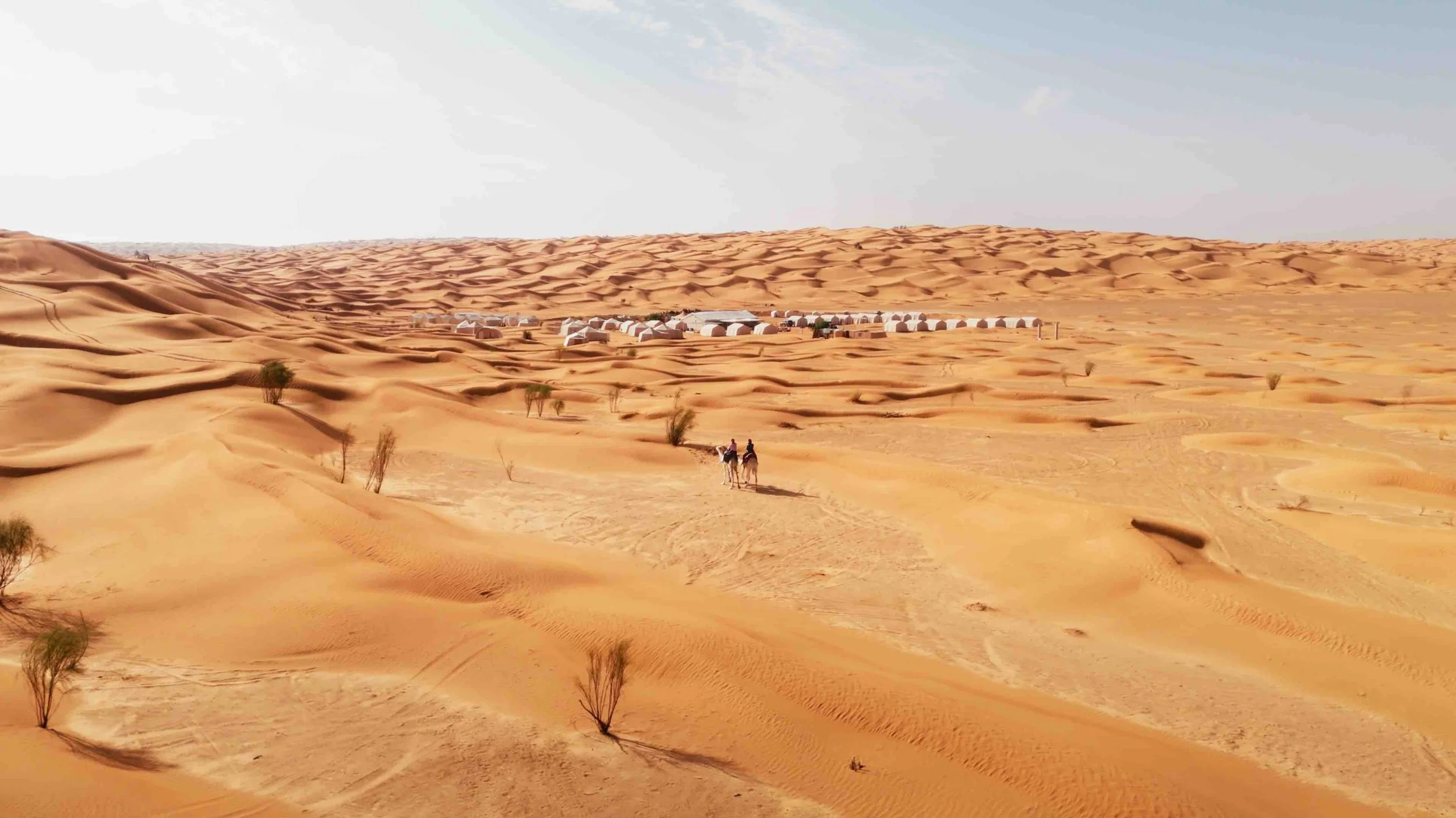 Still 2026-04-17 160323_1.42.1-optimized.jpeg