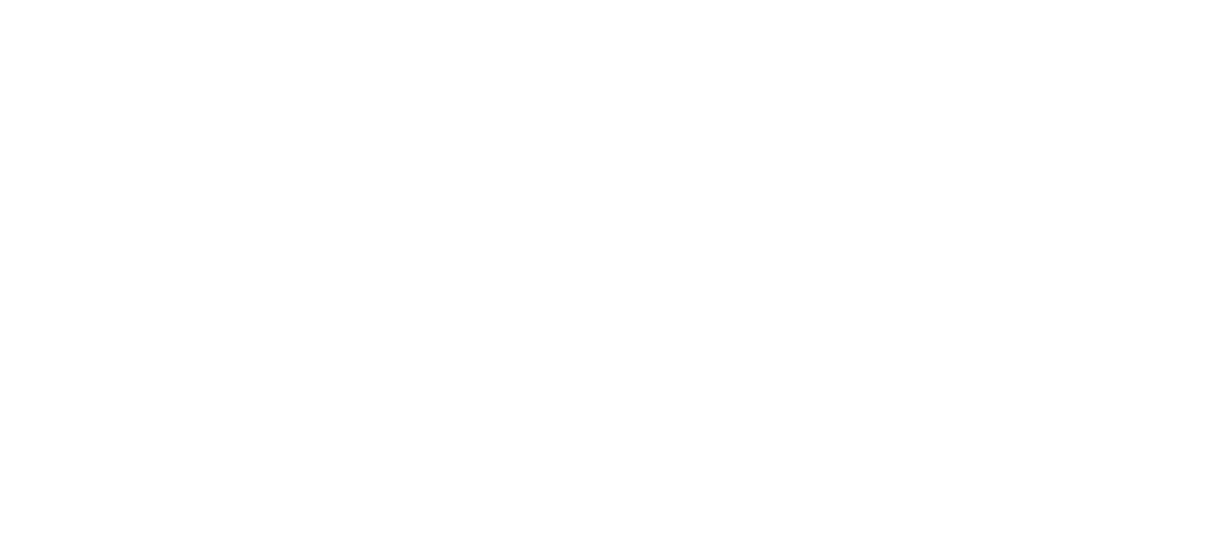 Der Text 'FISHING KING' in großen, weißen Buchstaben auf schwarzem Hintergrund, stilisiert und dynamisch gestaltet.