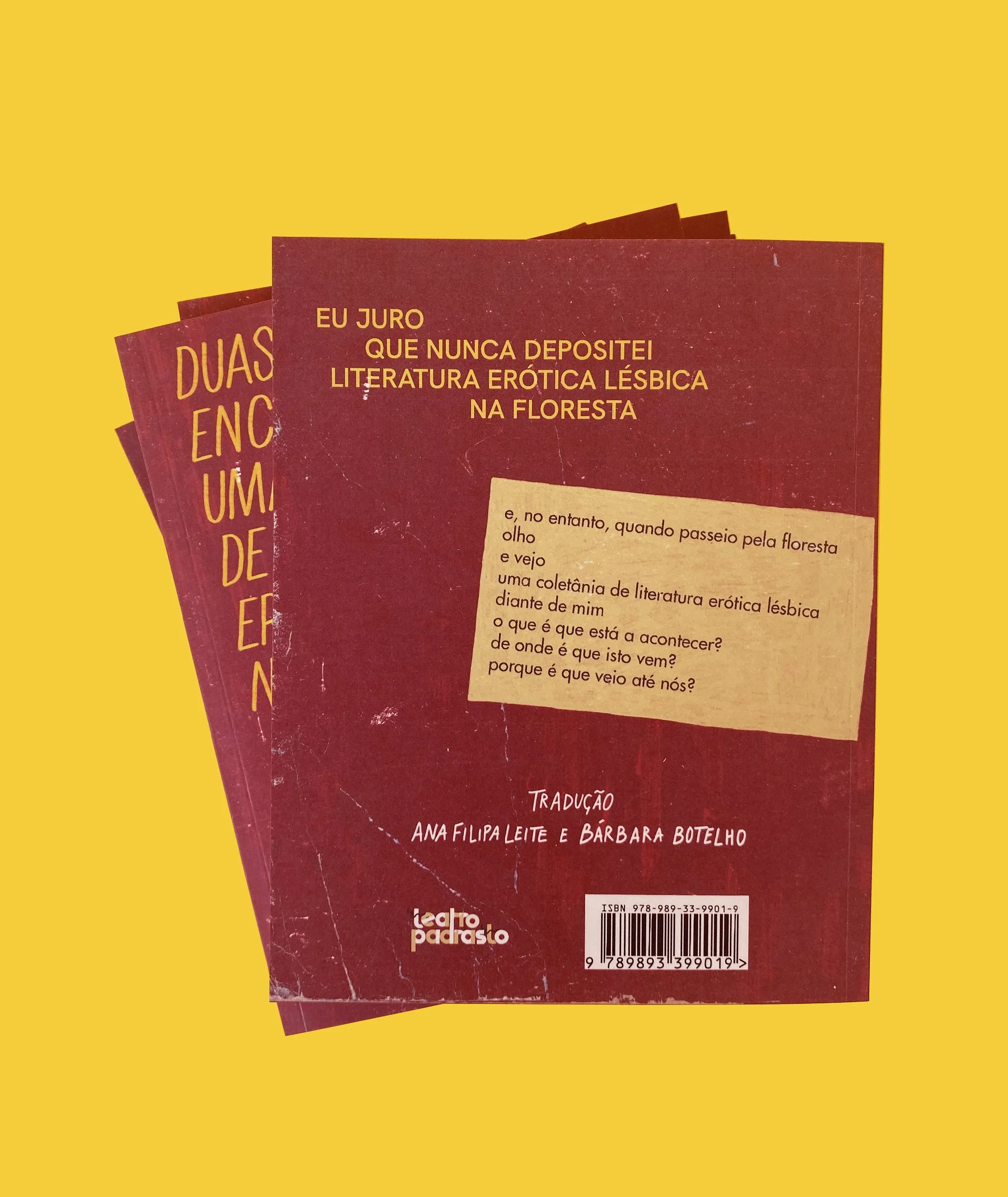 duas_irmas_promo_trás.jpg