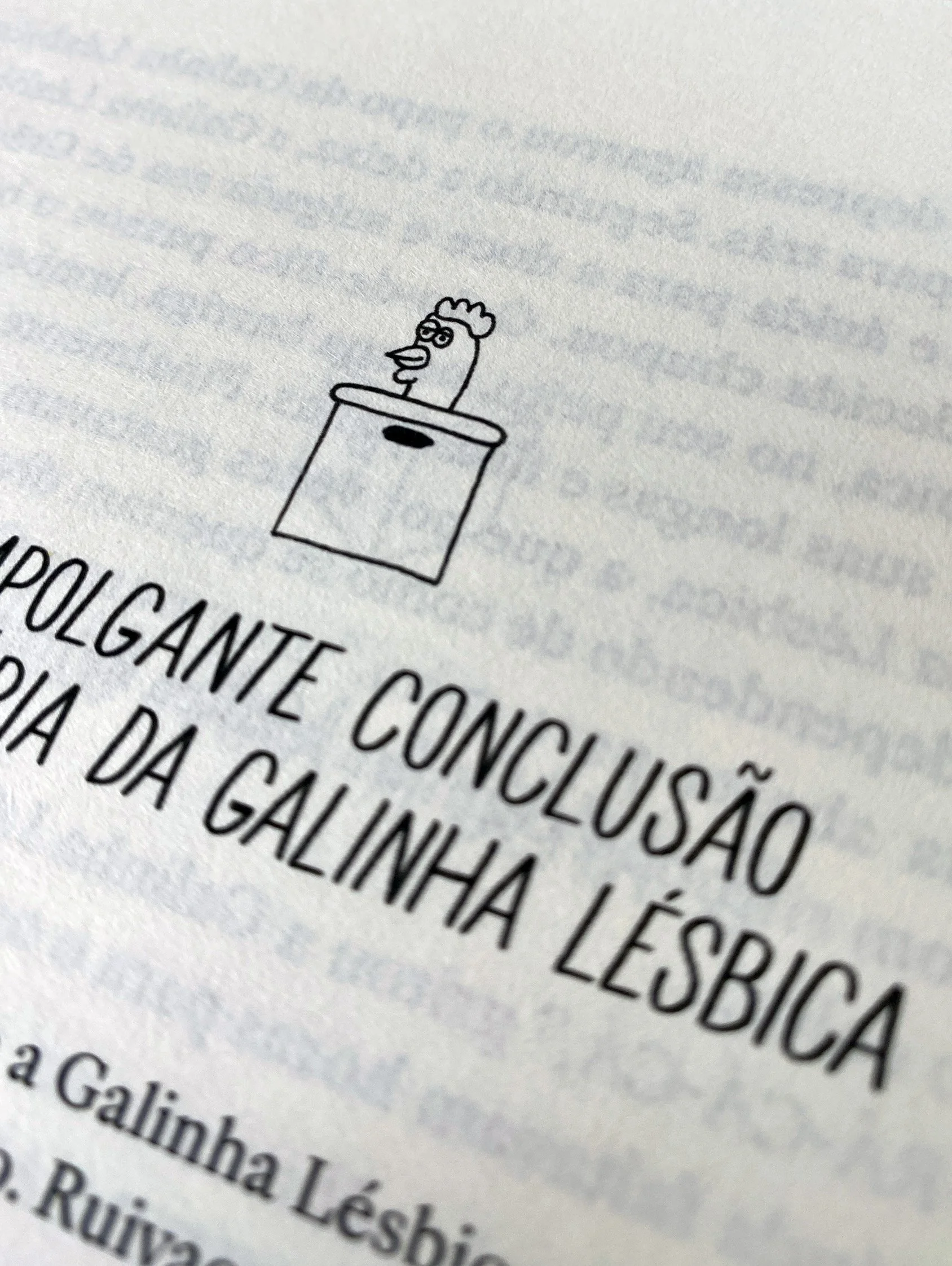 imagem_4.jpg