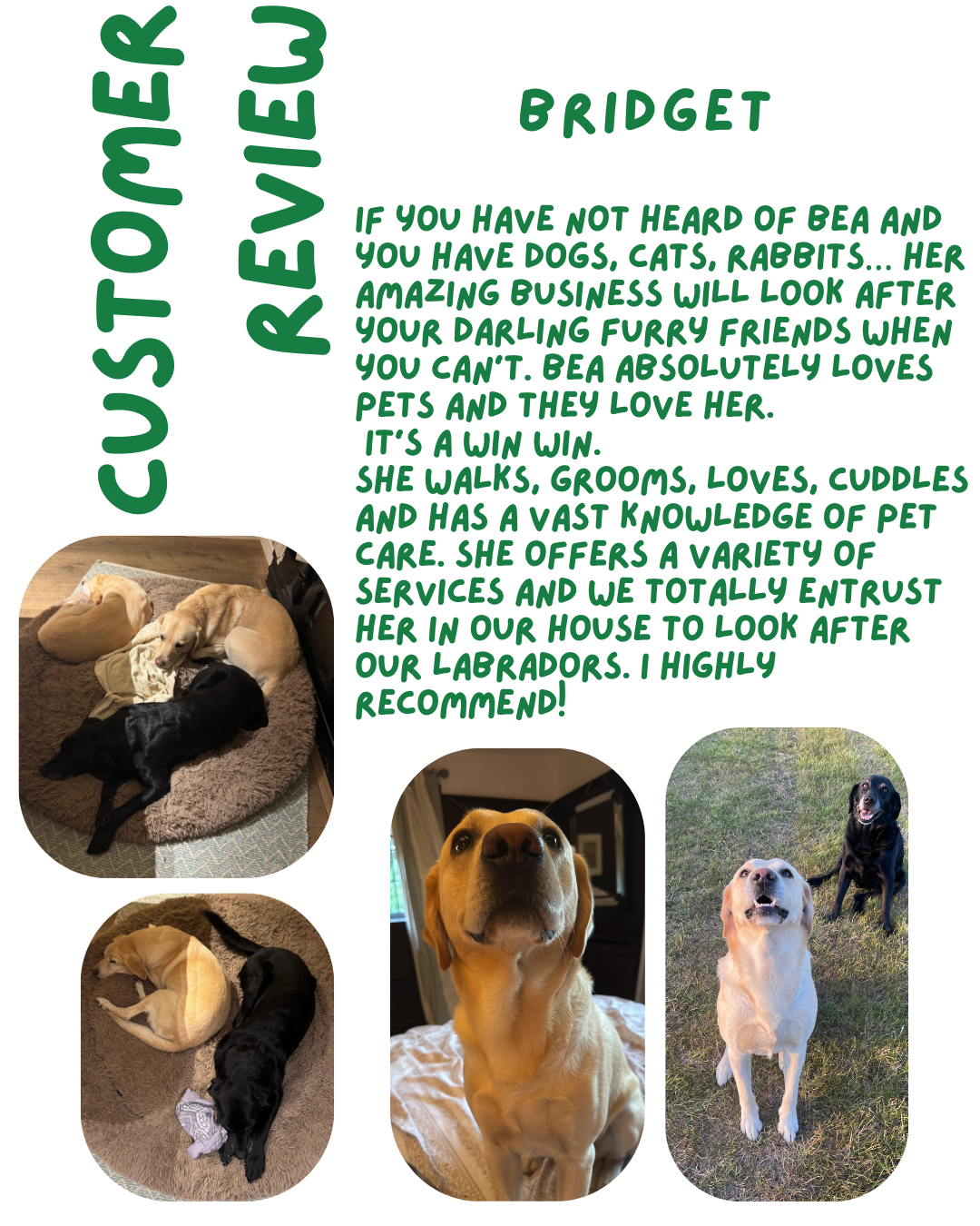 A flyer featuring text and photos of dogs. The text describes a pet care business run by a dog named Bridget, who walks, grooms, loves, cuddles, and cares for pets. The photos show various dogs, including two lying on a carpet, a close-up of a happy dog, and two dogs standing outside.