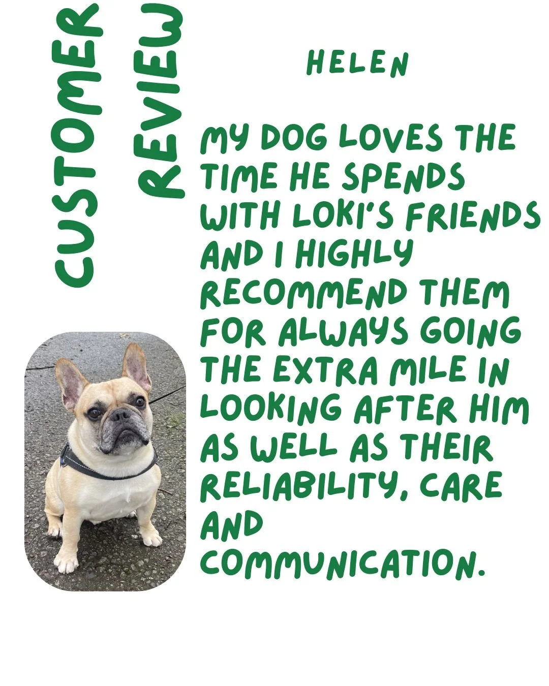 A graphic with a photo of a French Bulldog wearing a harness on a paved surface. The text features a quote about dogs and their owners, with playful, bold green lettering. The title on the left says, "Customer Review," with the quote expressing a dog owner's appreciation for their pet.