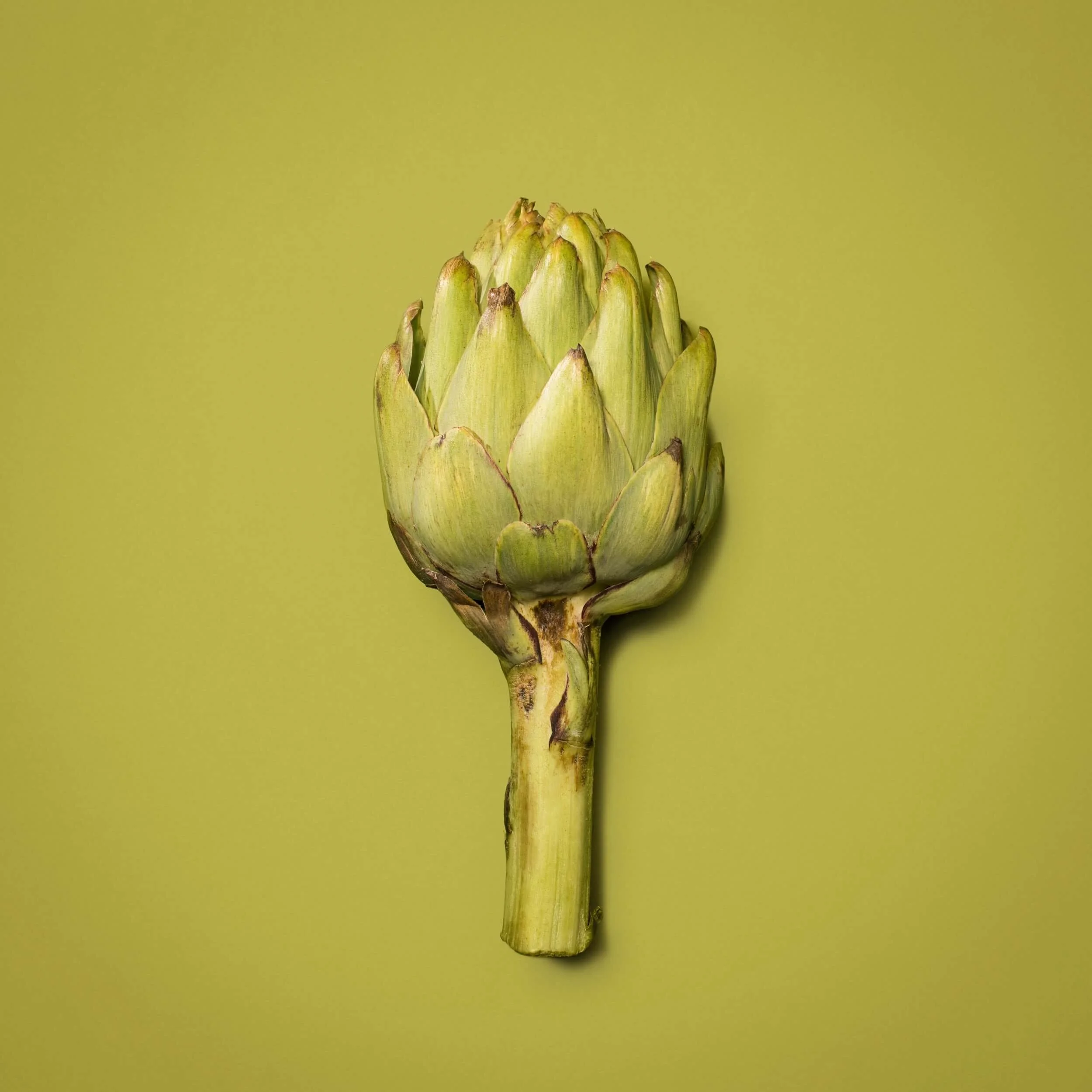 A fresh, green artichoke with its stem, set against a plain, light green background.