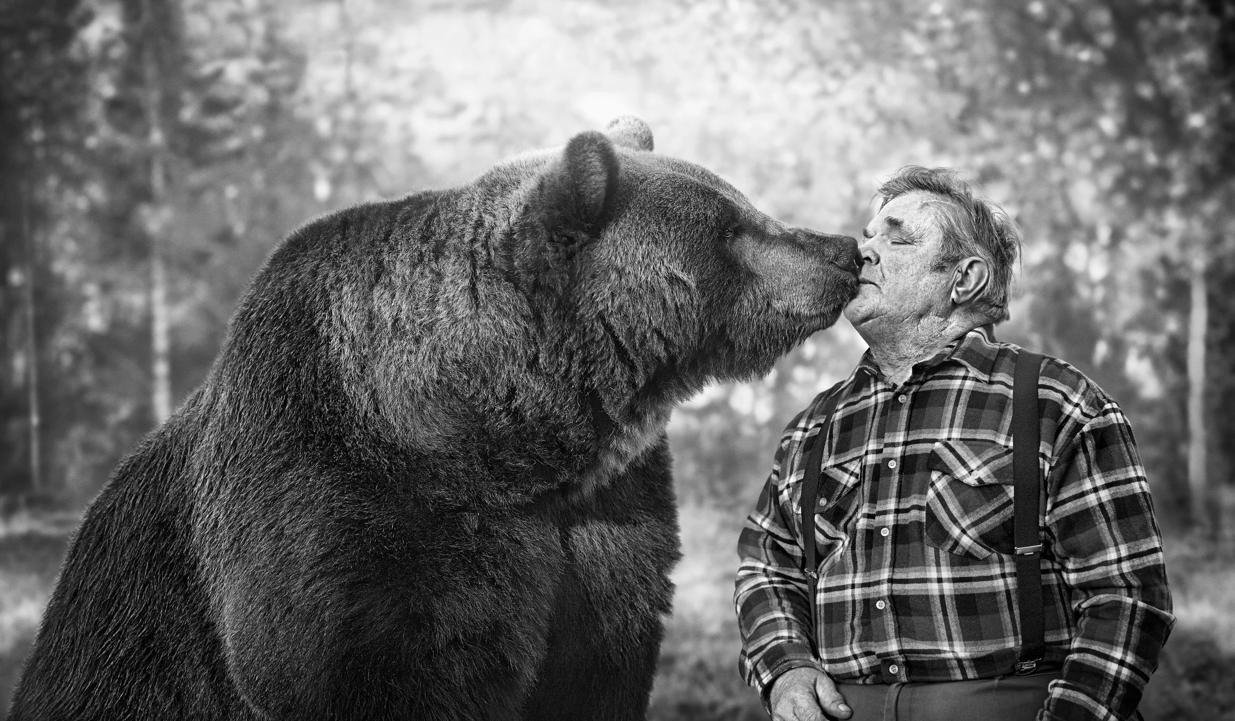 6218_VisFin_Bear_RGB.jpg