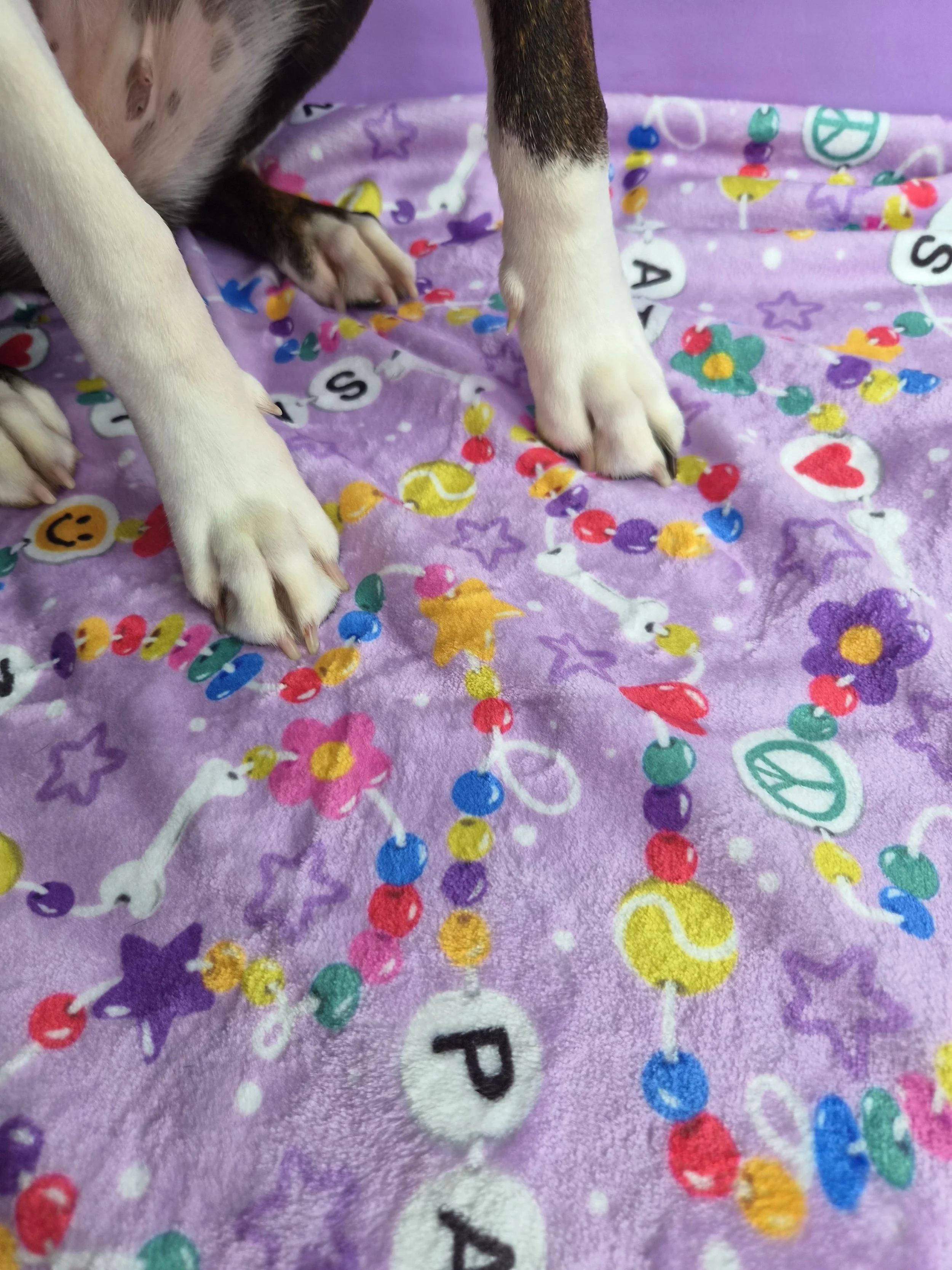 20261028_123922.jpeg