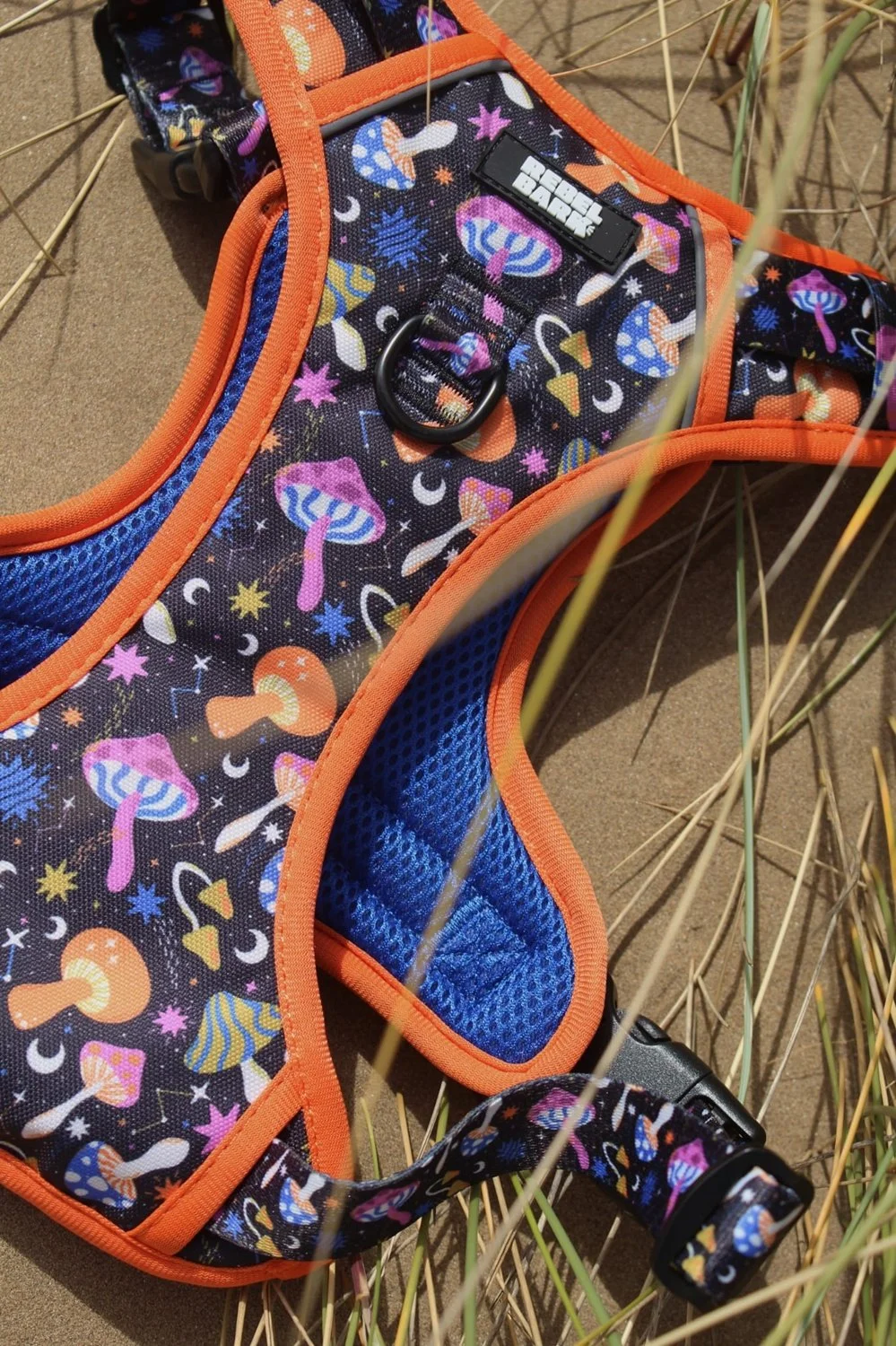 mushroomharnessbeach.jpg