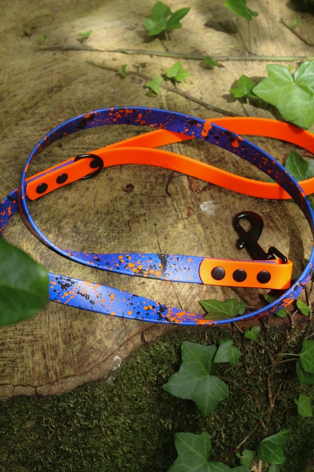 blueandorangelead.jpg