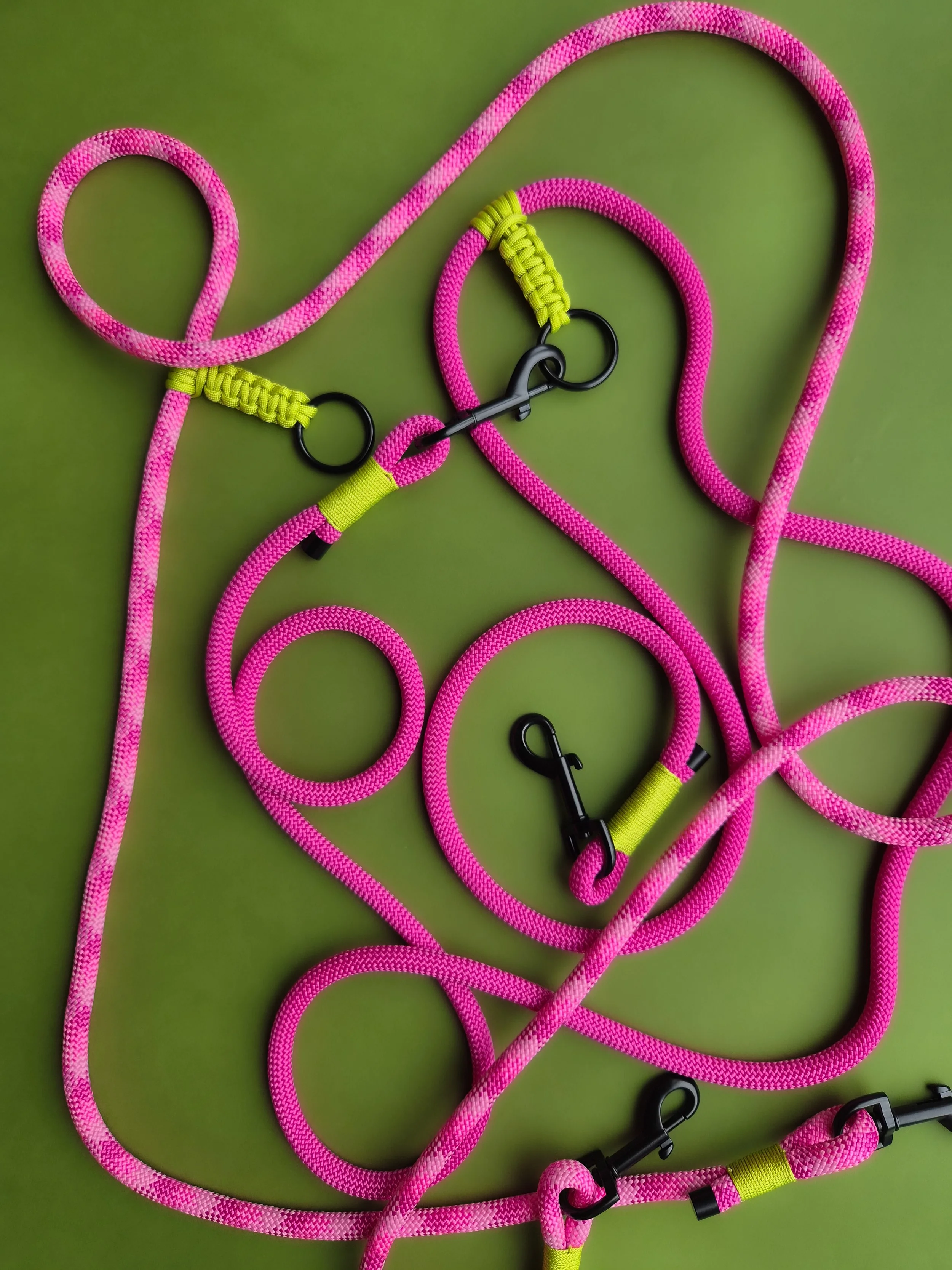 20260907_114530.jpg