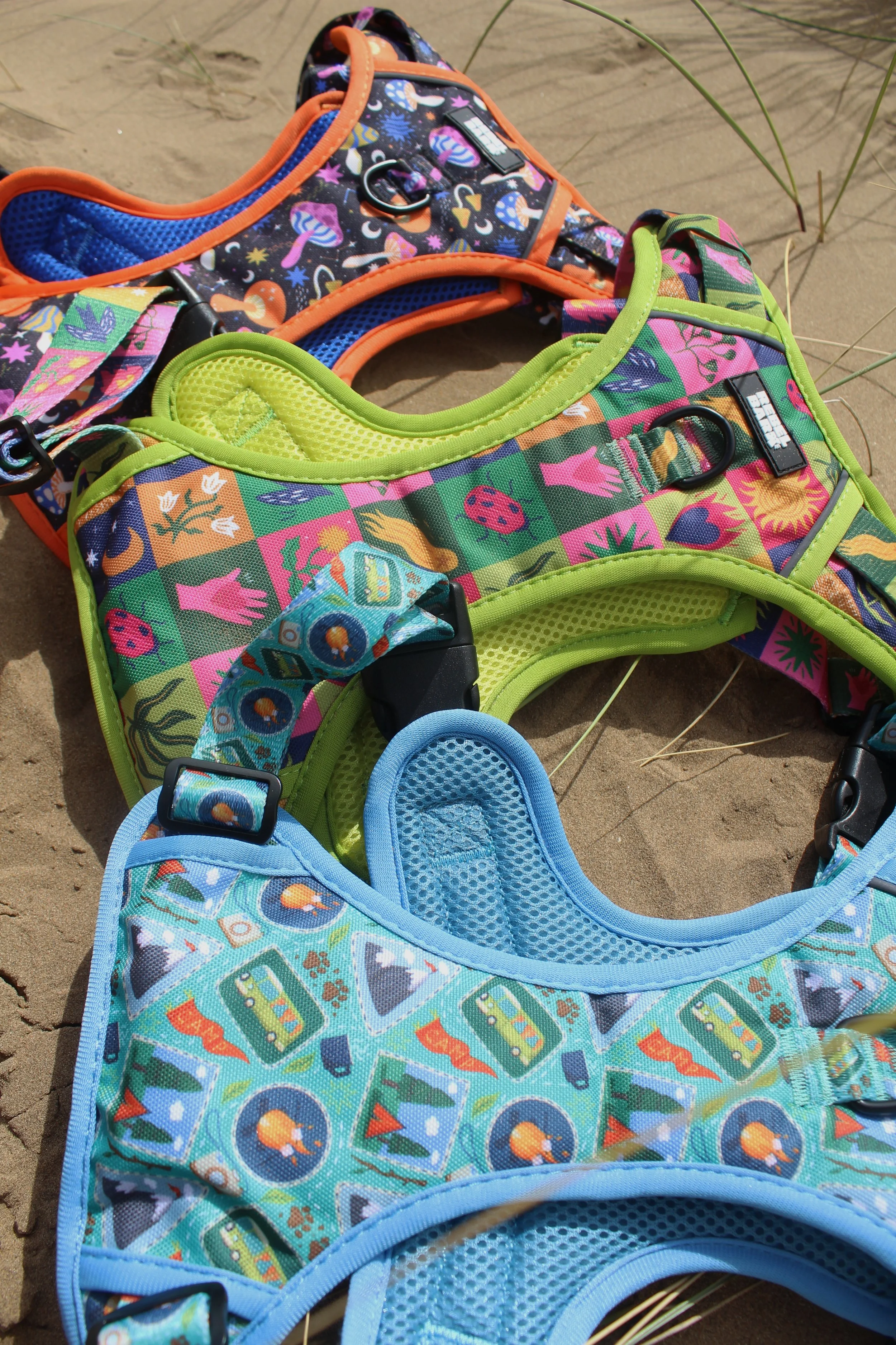 Colorful pet harnesses with animal and nature patterns lying on sand with some beach grasses nearby.