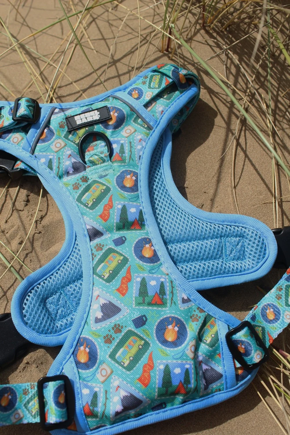 blueharnessinsand.jpeg
