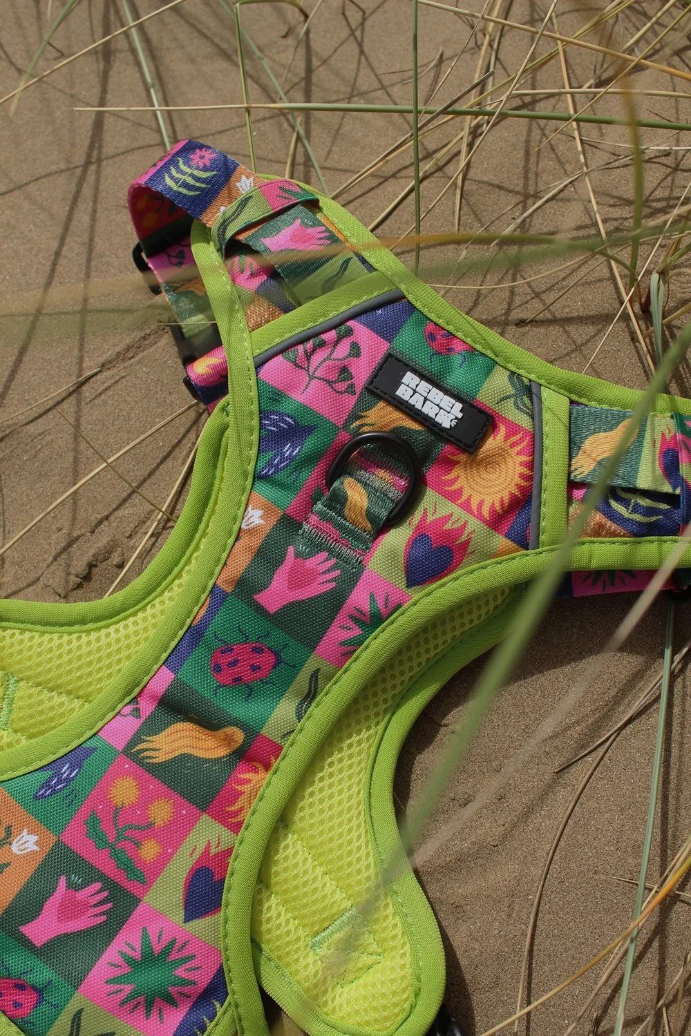 greenharnessinsand.jpeg