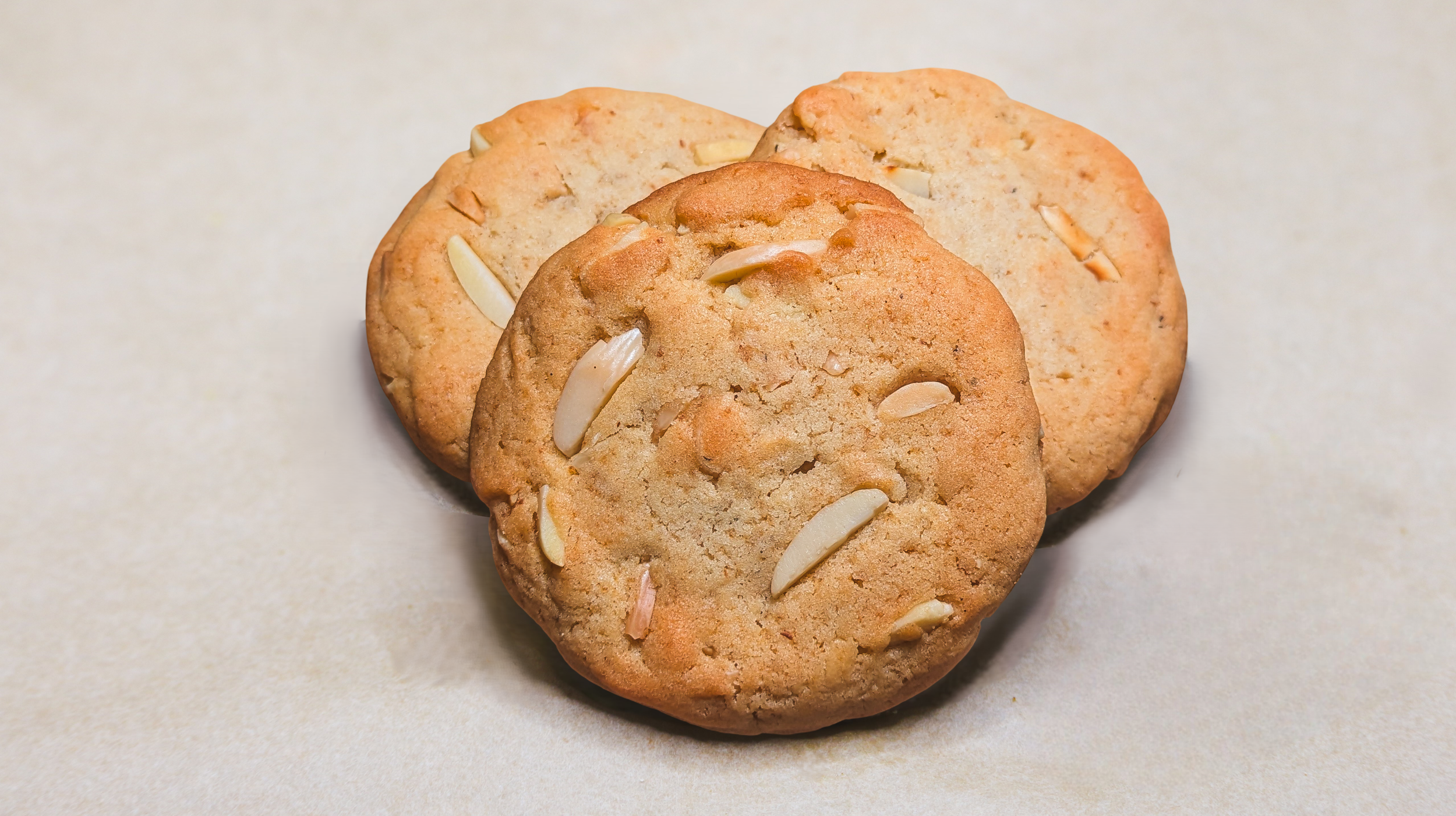 untitled-0 (31)_bg2.png