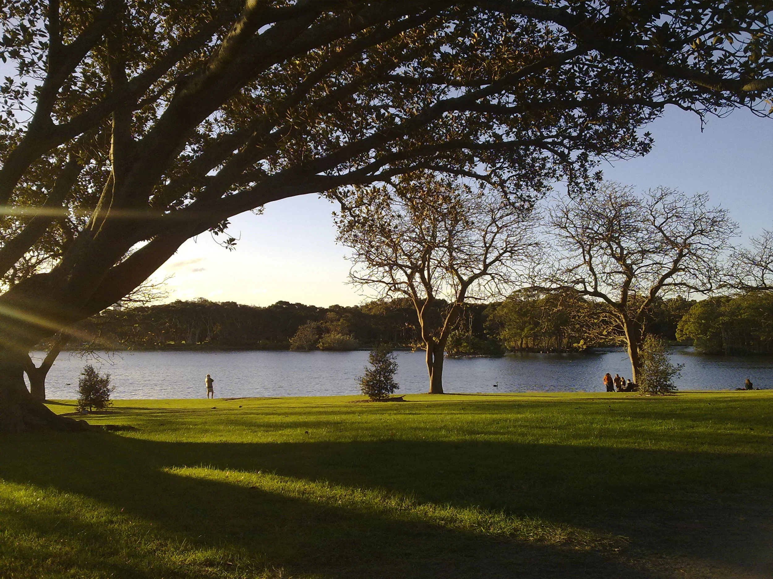 Our Favourite Picnic Spots in Sydney Right Now