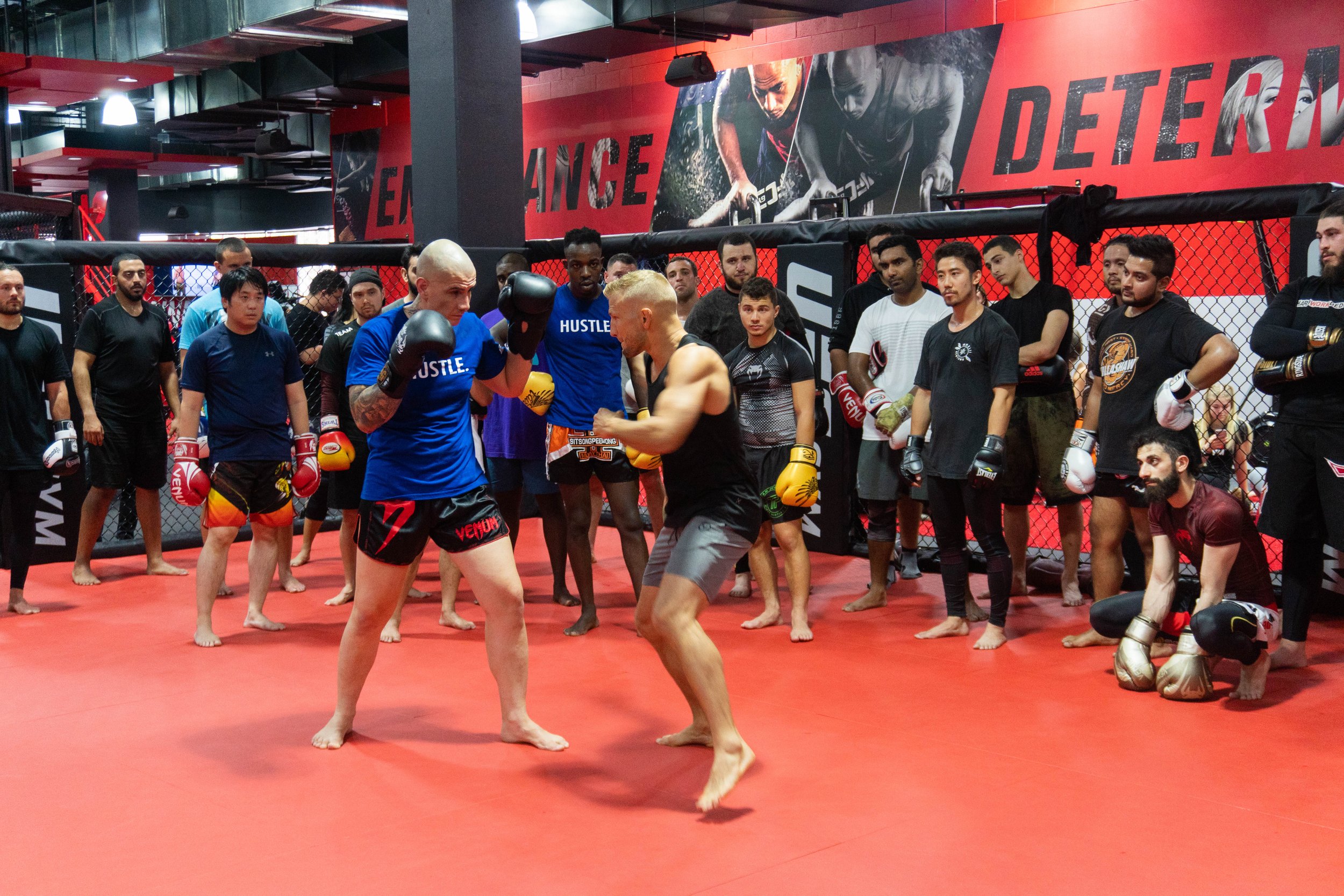 Mixed martial arts class in a training gym with students and instructor. Two men in the center practicing a sparring or demonstration move. A group of people standing around observing, some wearing gloves and athletic wear, inside a caged fighting ri
