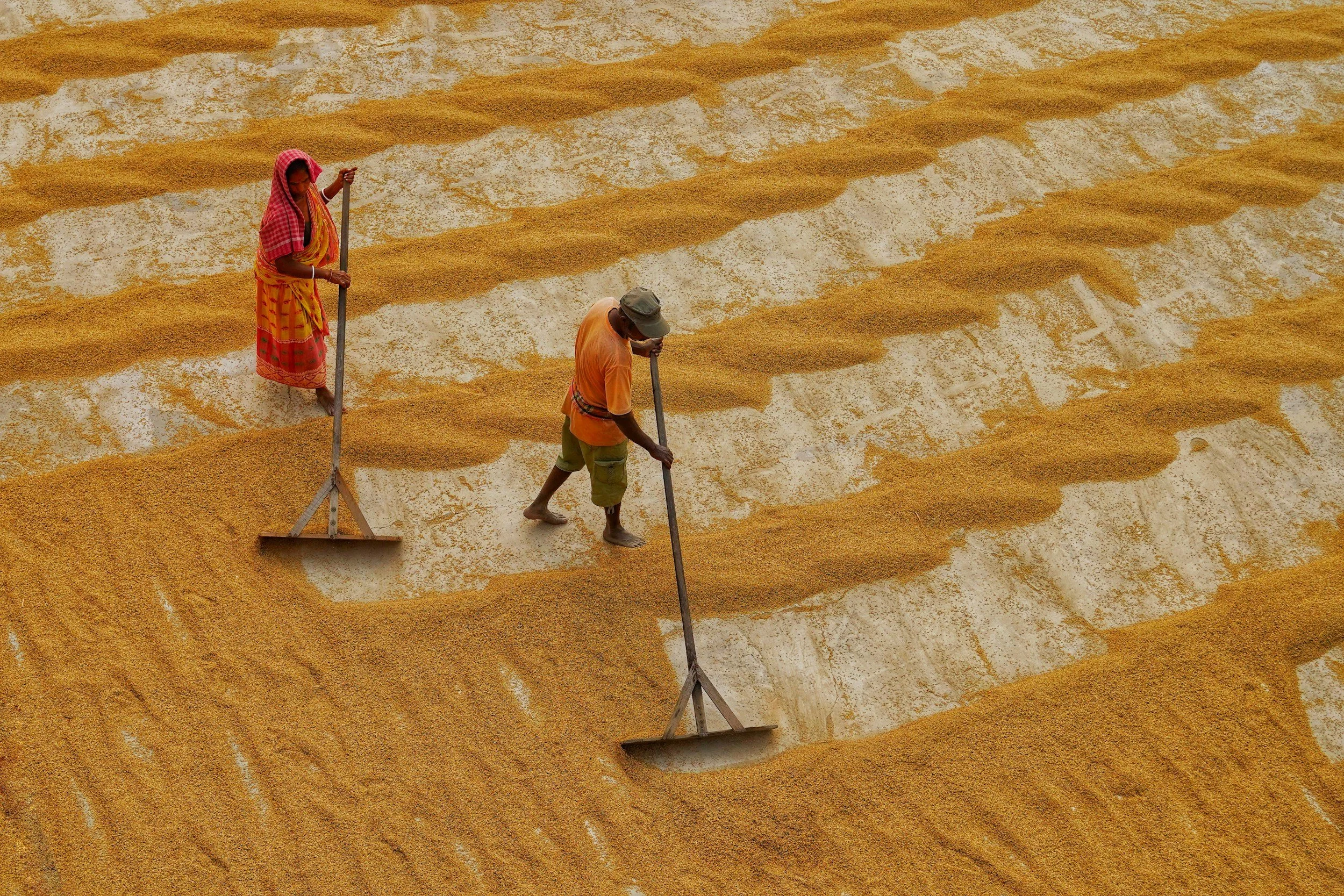 Human Rights Due Diligence in the UAE and GCC: From Obligation to Opportunity