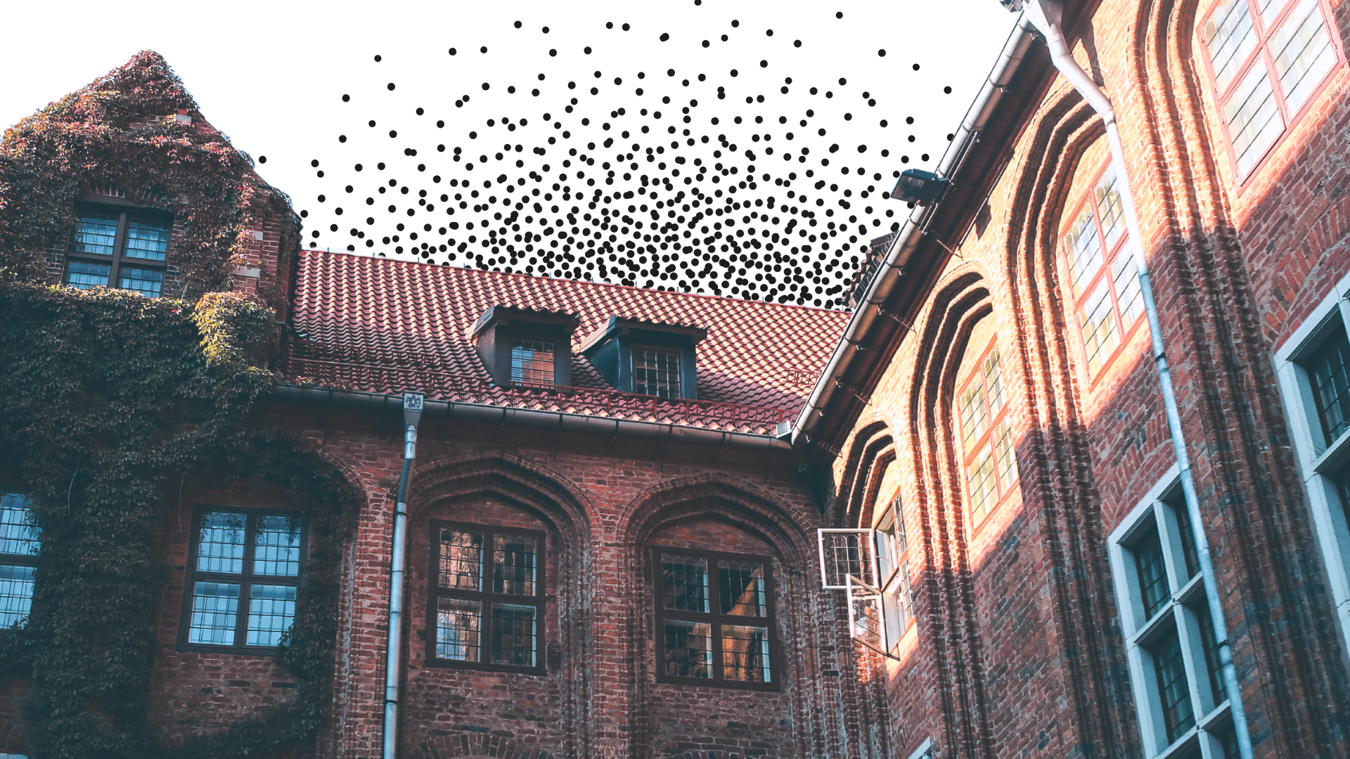 Making education impact visible.