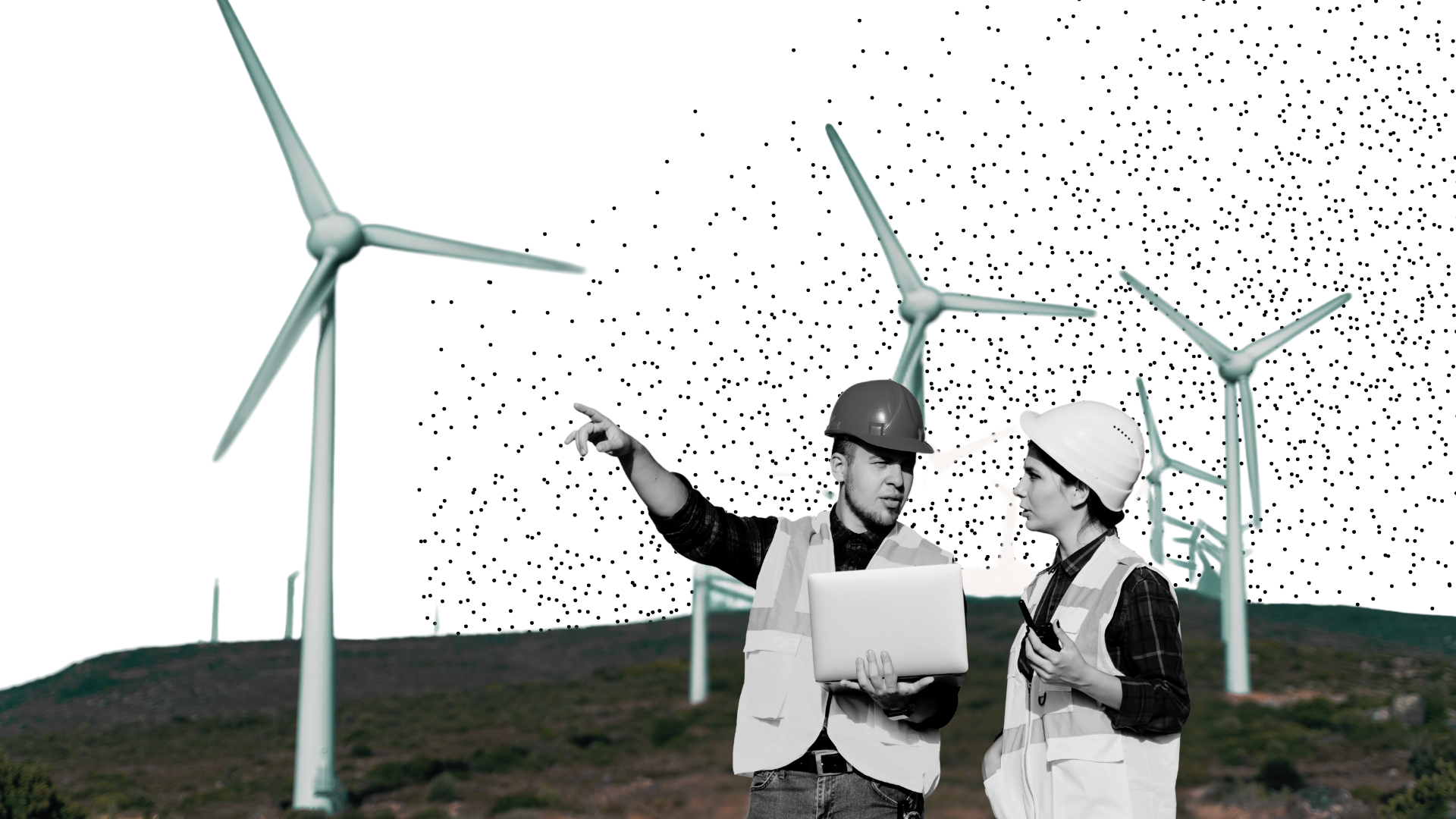 Mapping the green skills gap.