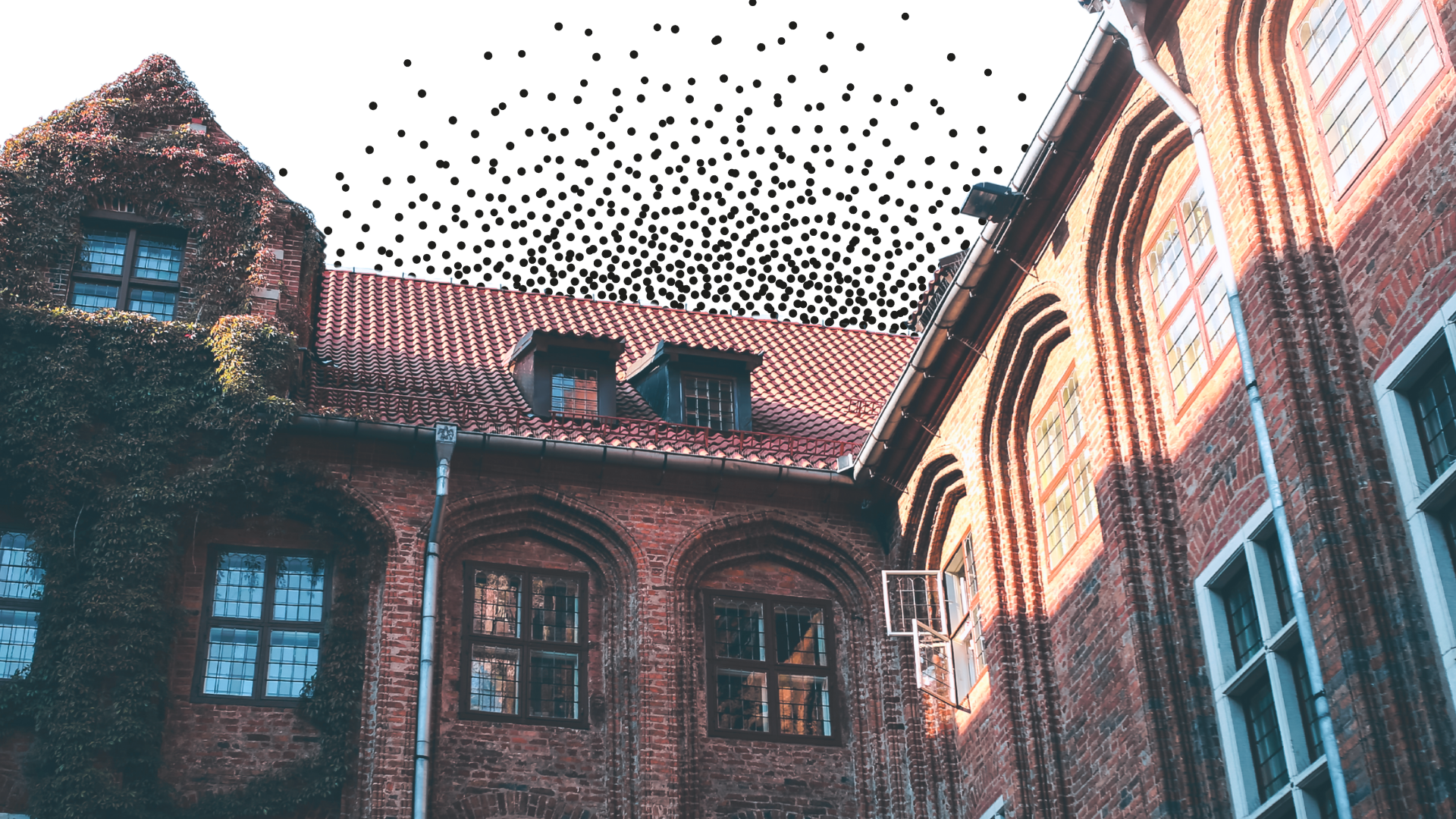 Making education impact visible.