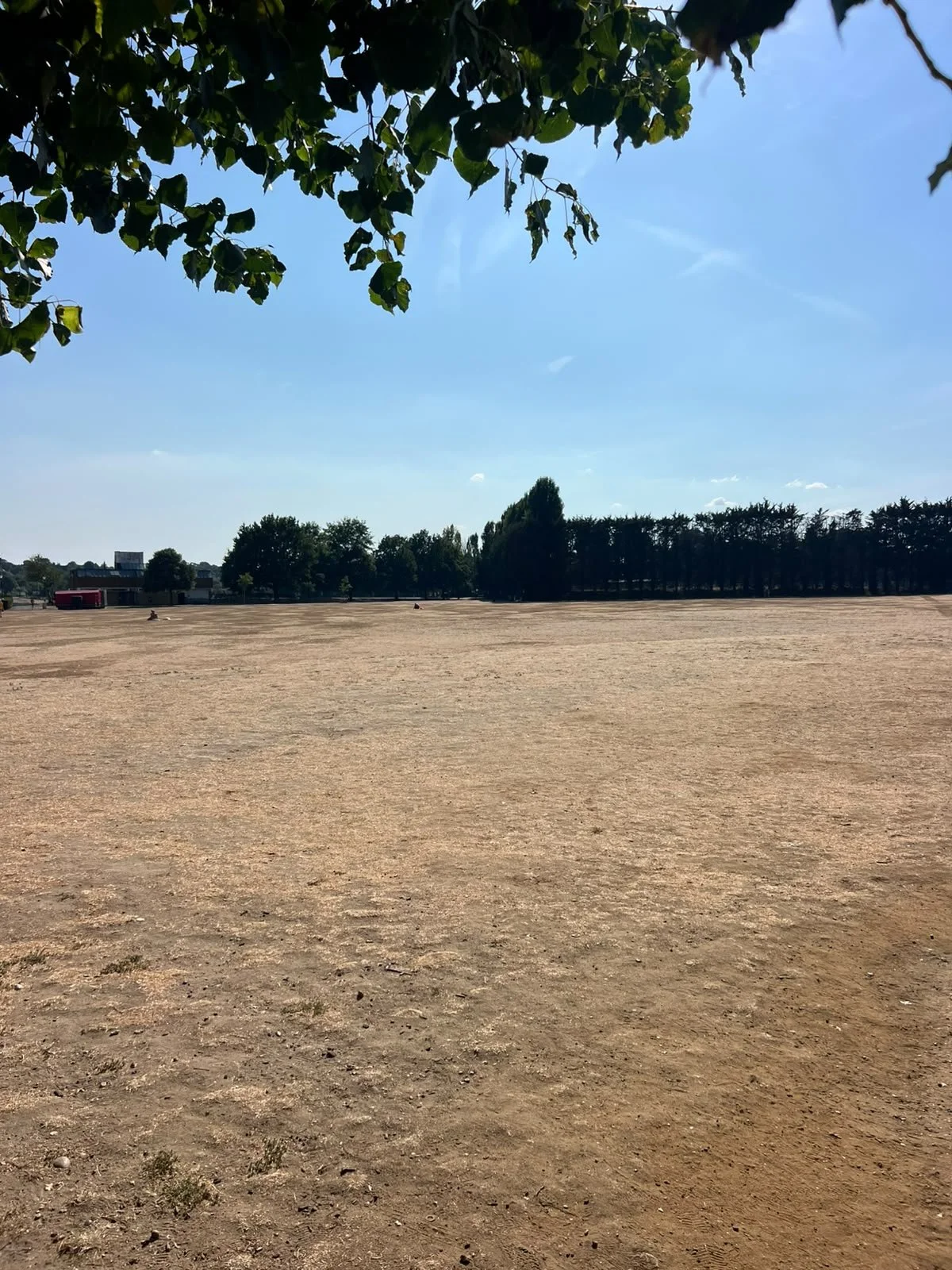 Wimbledon Park in Summer 2026