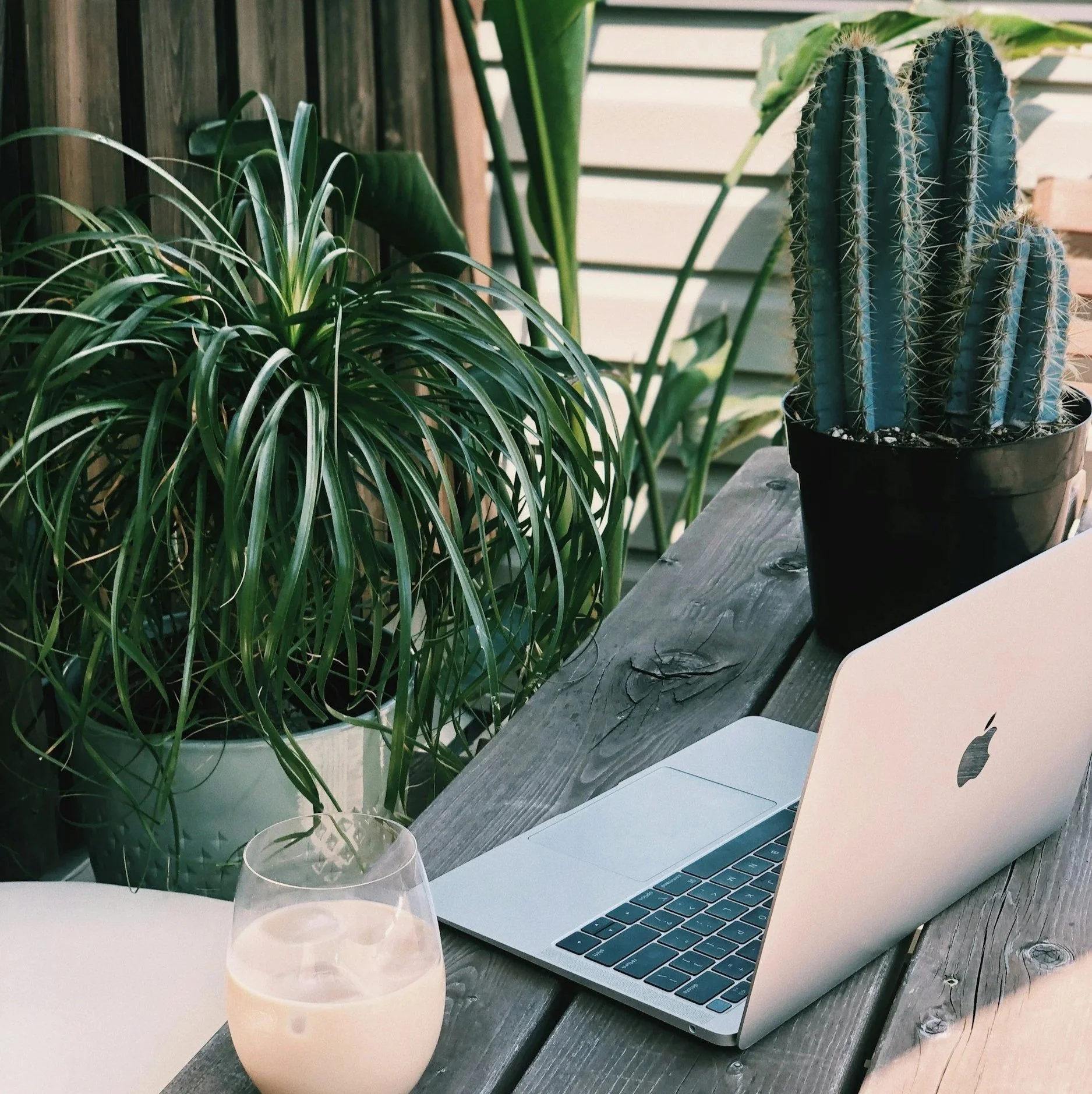 Freelancing with Purpose: Bhaarat Verma on Navigating the Green Gig Economy