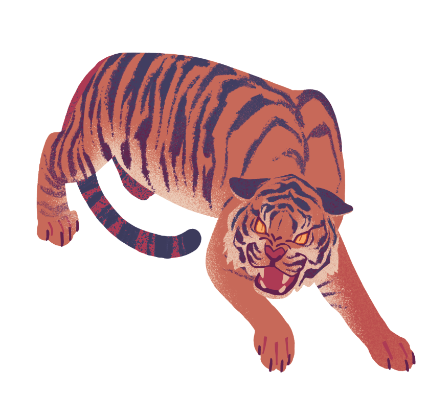 Screenshot 2025-06-06 042030.png