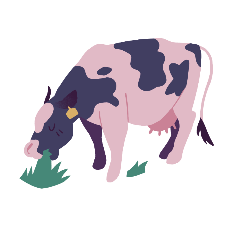 Screenshot 2025-06-06 042014.png