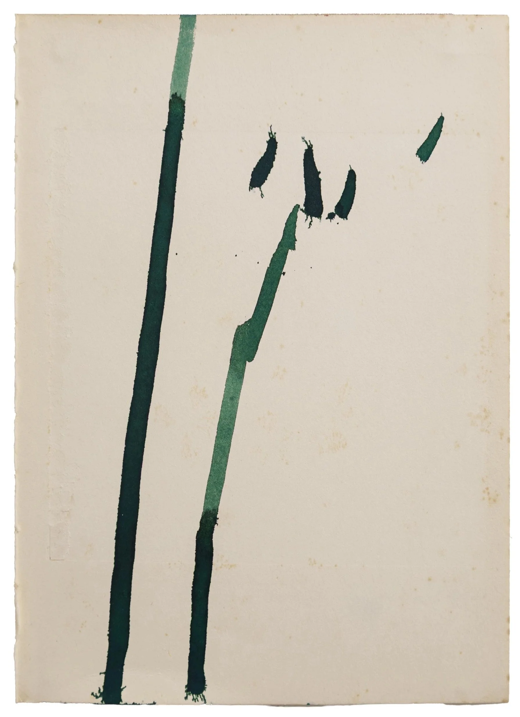 Sam Lock | Timelines 8