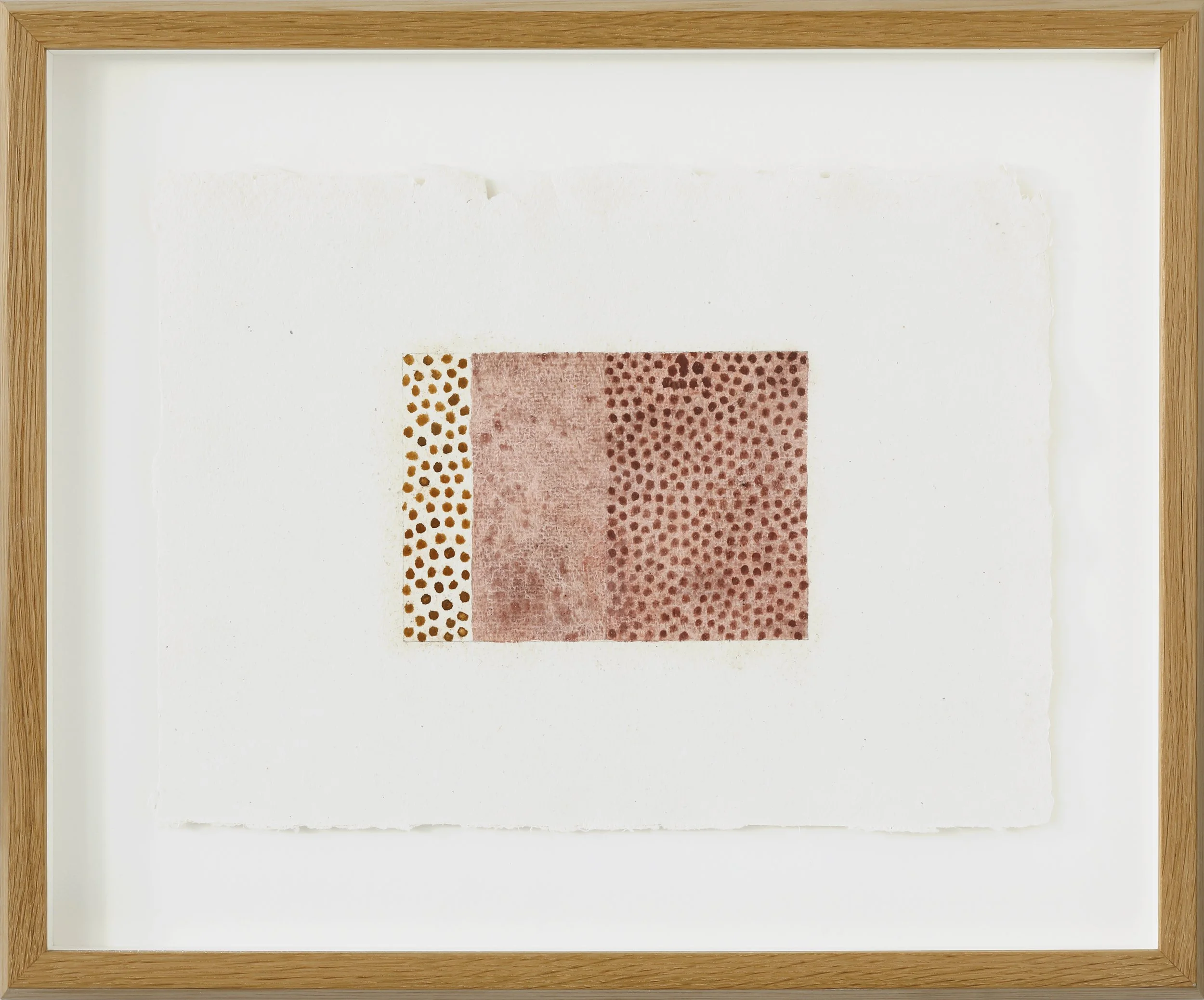 Michael Rainsford | Sea Edge