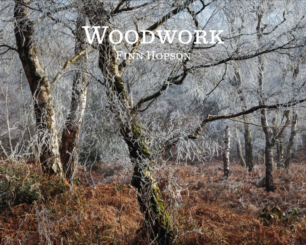 FINN HOPSON | Woodwork