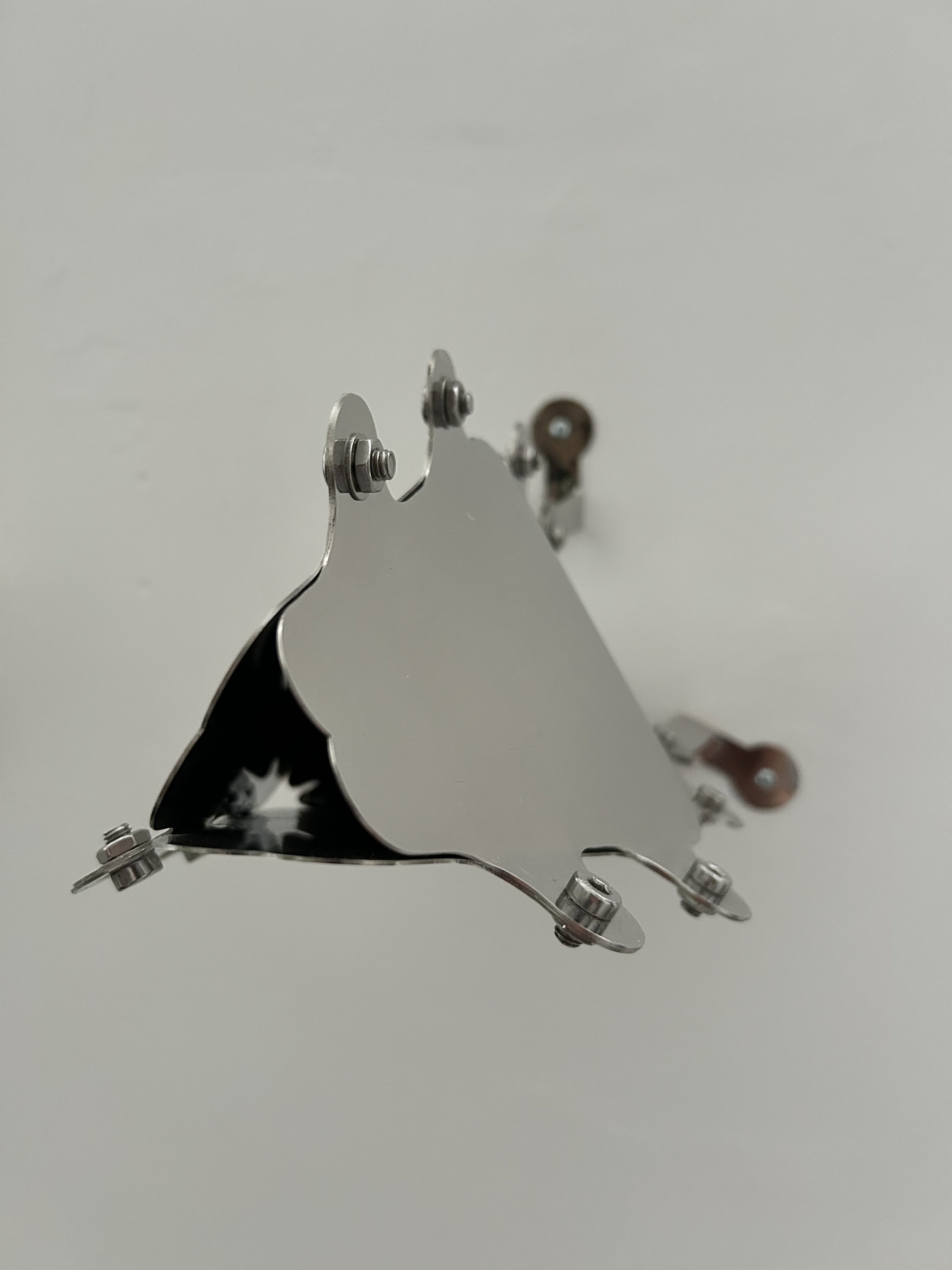 IMG_5308.jpeg