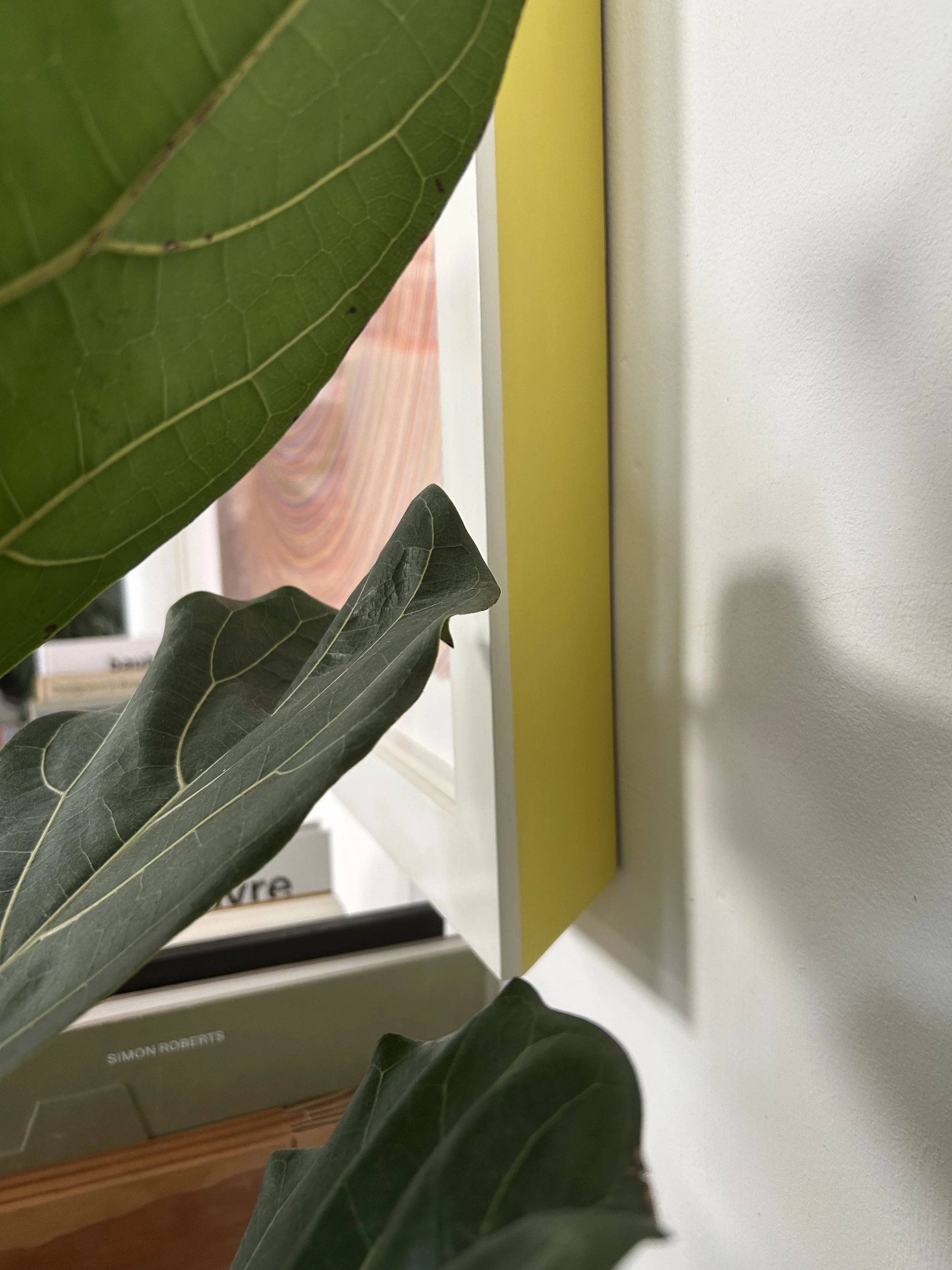 Two Lines - Side Shot