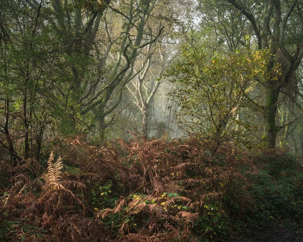 FINN HOPSON | Earth Matters 13