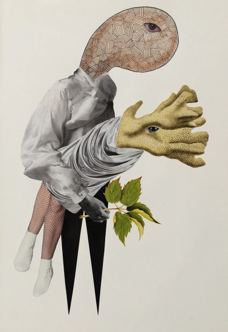 ANIKA CARPENTER | Off to the woodland disco