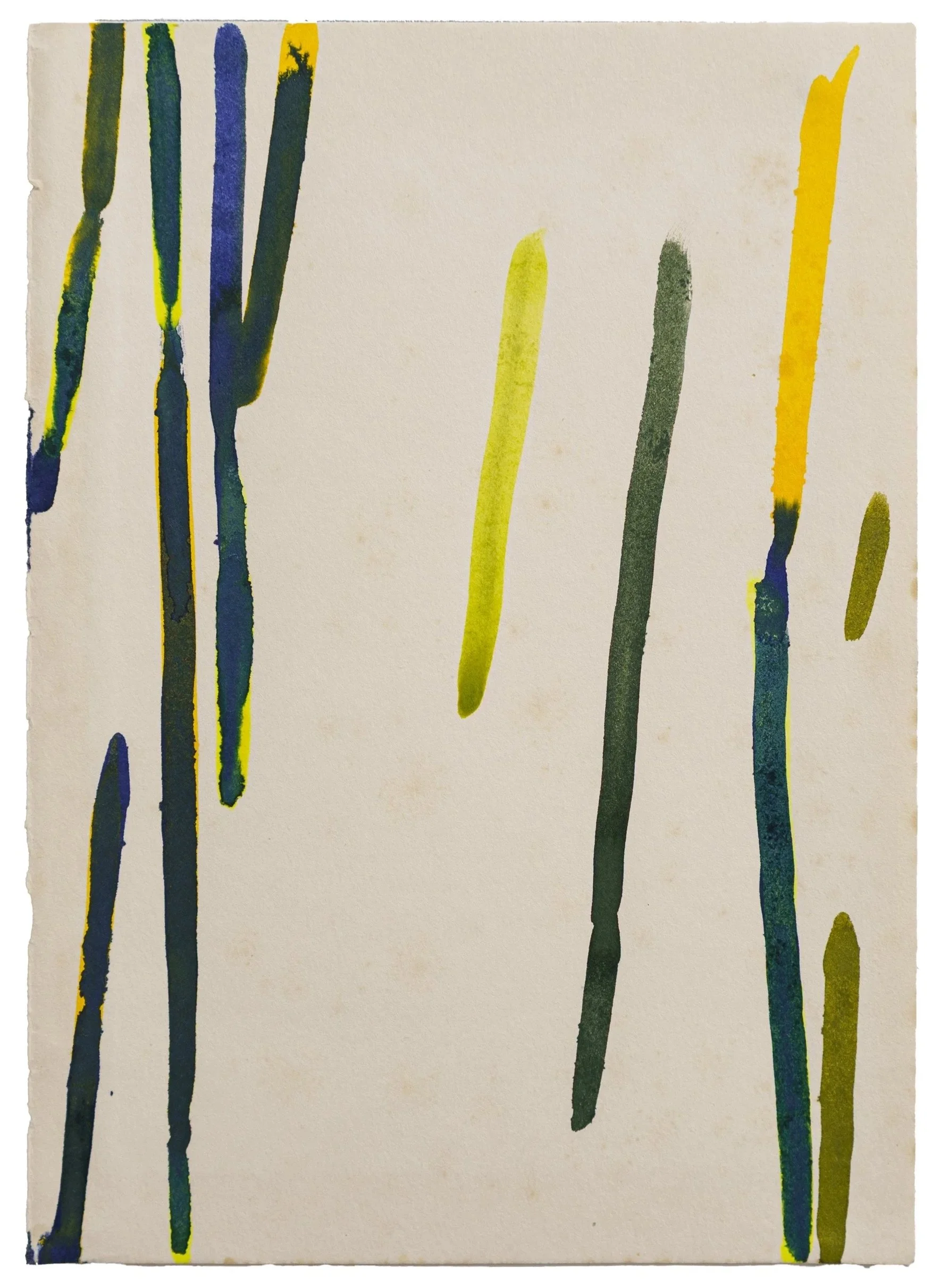 Sam Lock | Timelines 14