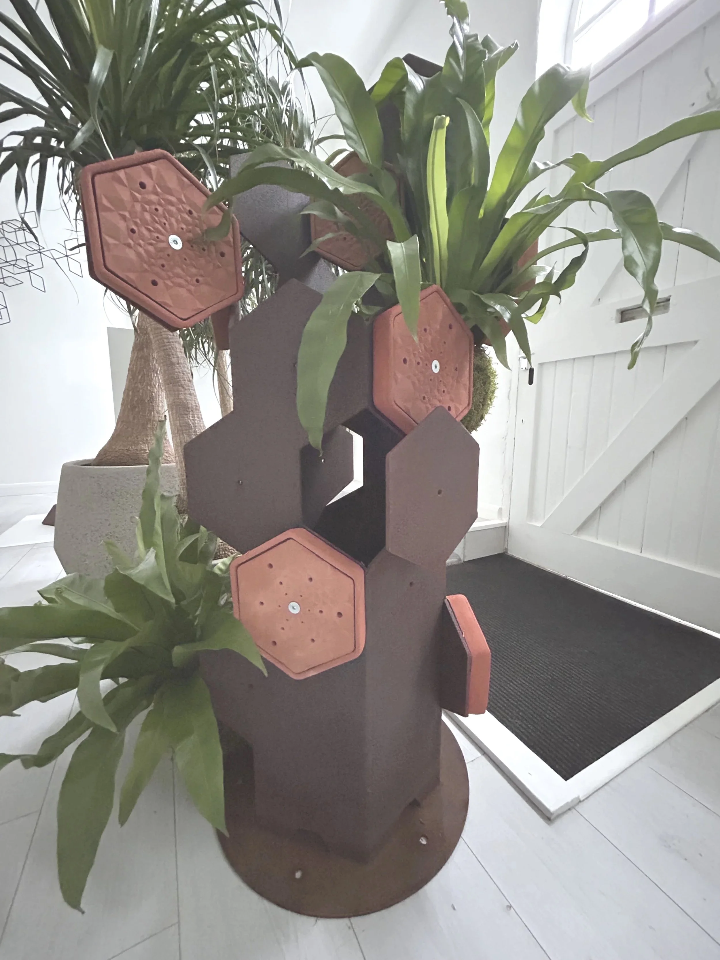 Will Nash | HexB Totem