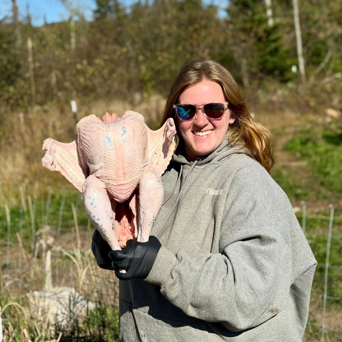 We harvested our first turkeys of the season yesterday, in time for Canadian Thanksgiving.🇨🇦