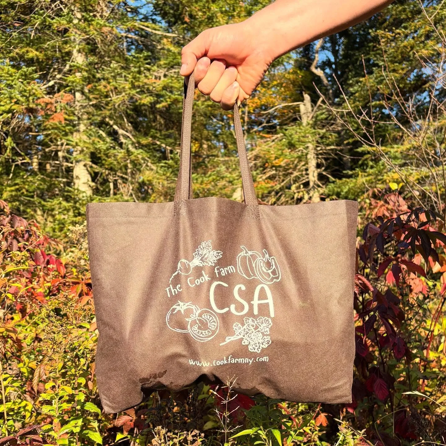 Last week marked the end of our very first CSA season. We are so grateful to all of our members, and can’t wait to start planning for next year.🥕
