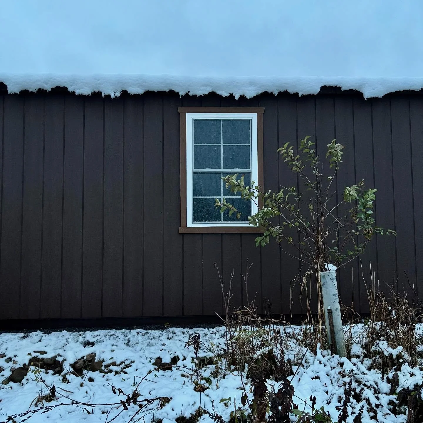 November 1st: first snow in Owls Head.❄️