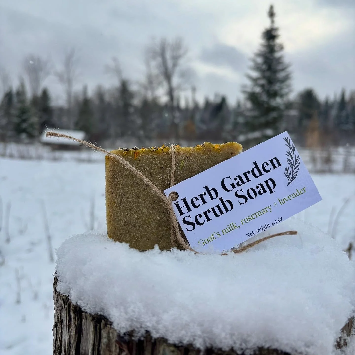 We teamed up with our friend Mary at Creative Kitchen Garden in Westport to create a one-of-a-kind herbal soap. Made with our own goat&rsquo;s milk, pure essential oils, and her lovingly grown comfrey, yarrow, lavender, and calendula, this bar is pac