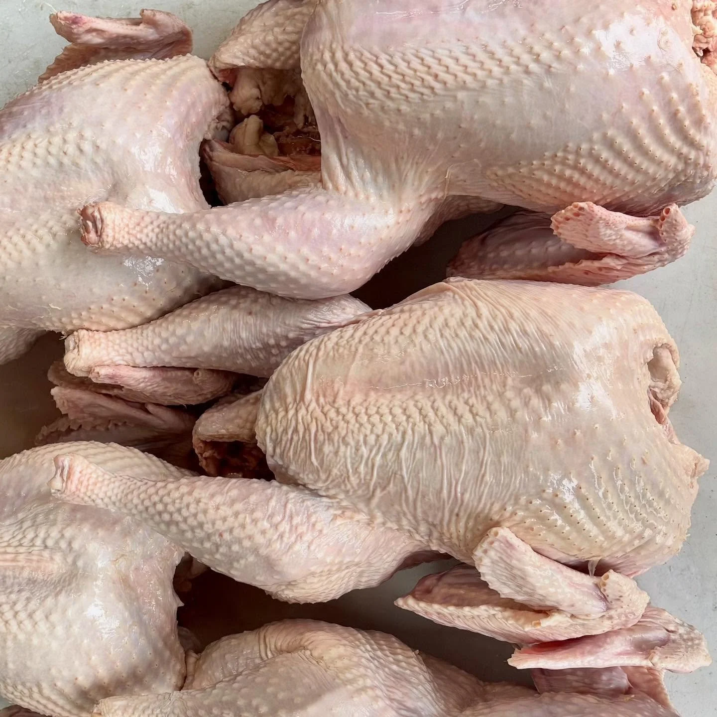 A bunch of beautiful turkeys headed out the door this morning to be delivered to our customers.🦃