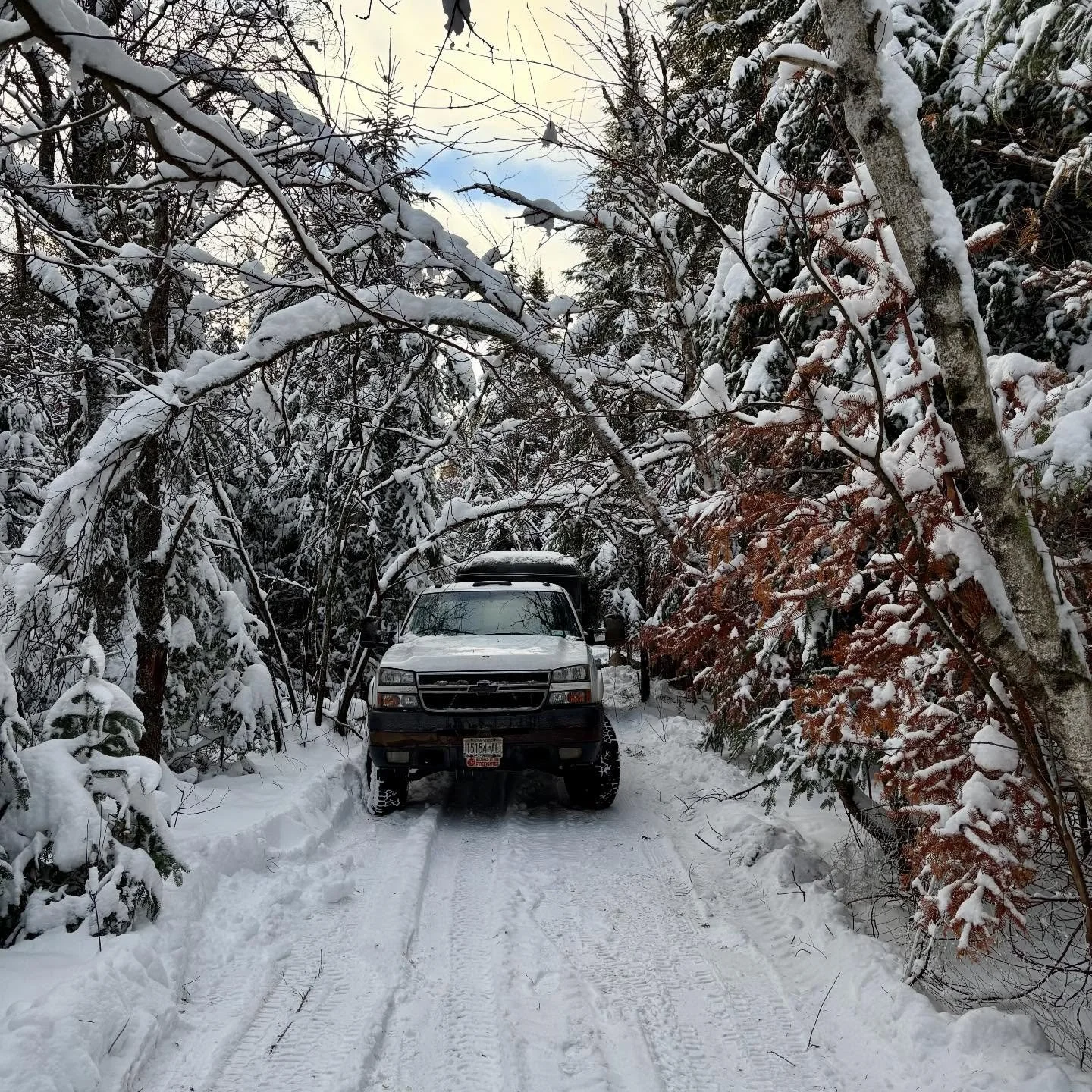 All ready to load up and head to the butcher tomorrow. Who&rsquo;s excited for pork to be back in stock?🐽