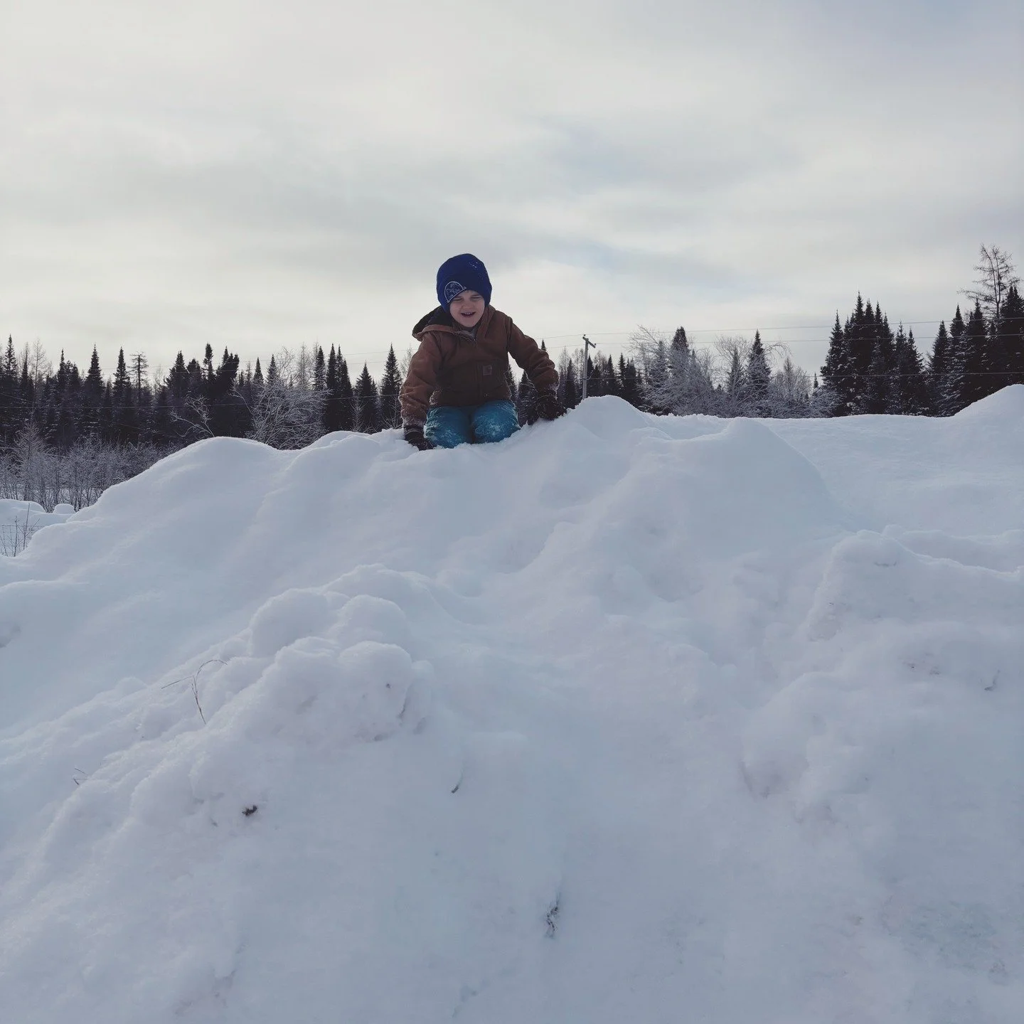 We've been taking full advantage of the warm weather we've been having lately. Our snow banks haven't gotten any shorter, but we did manage to chip the frozen bedding out of the duck coop.🦆