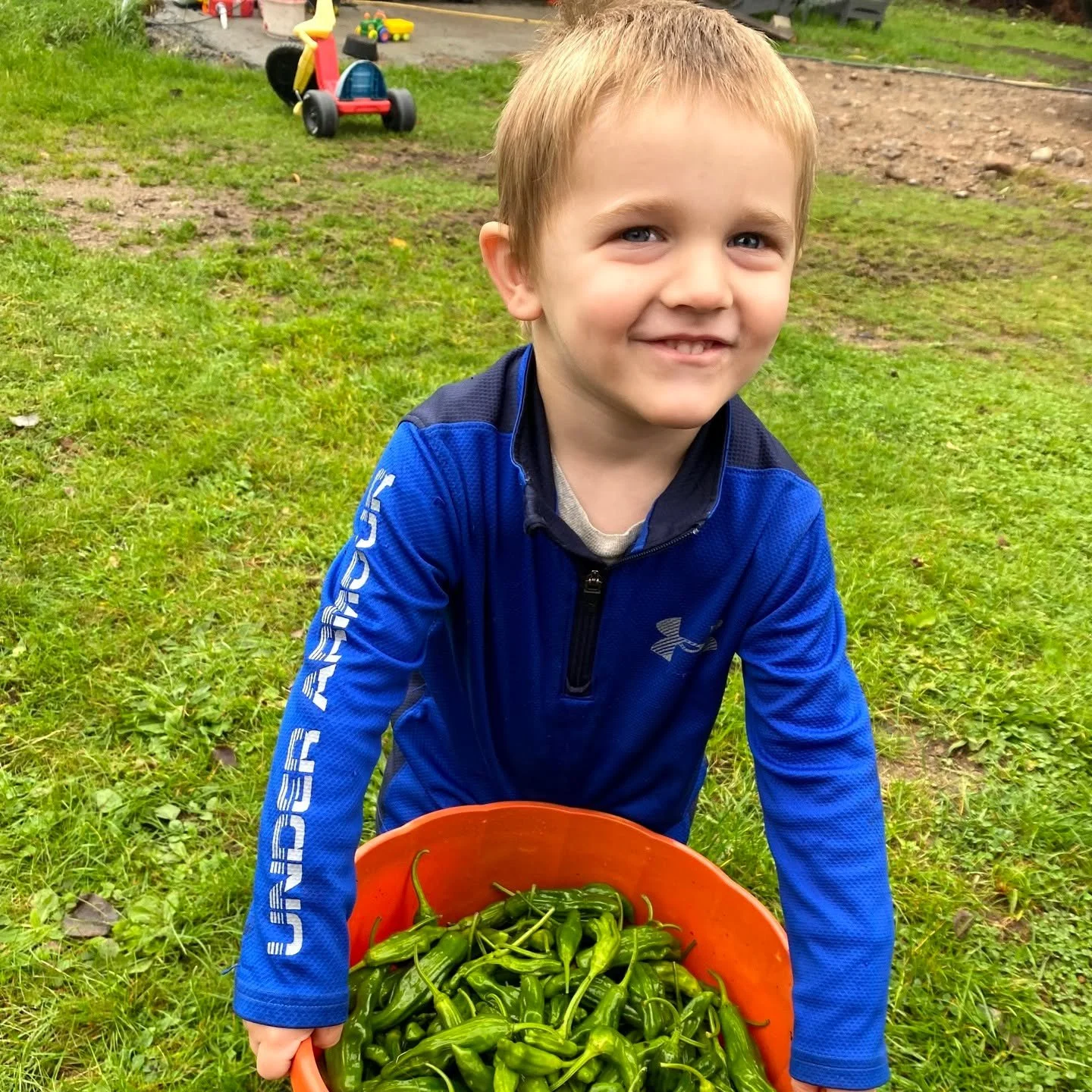 CSA program sign ups are open! We have some new offerings this year: in addition to our 20 week vegetable CSA, we have a monthly meat CSA and a "complete" CSA which combines the two. More information about each program is available on our w