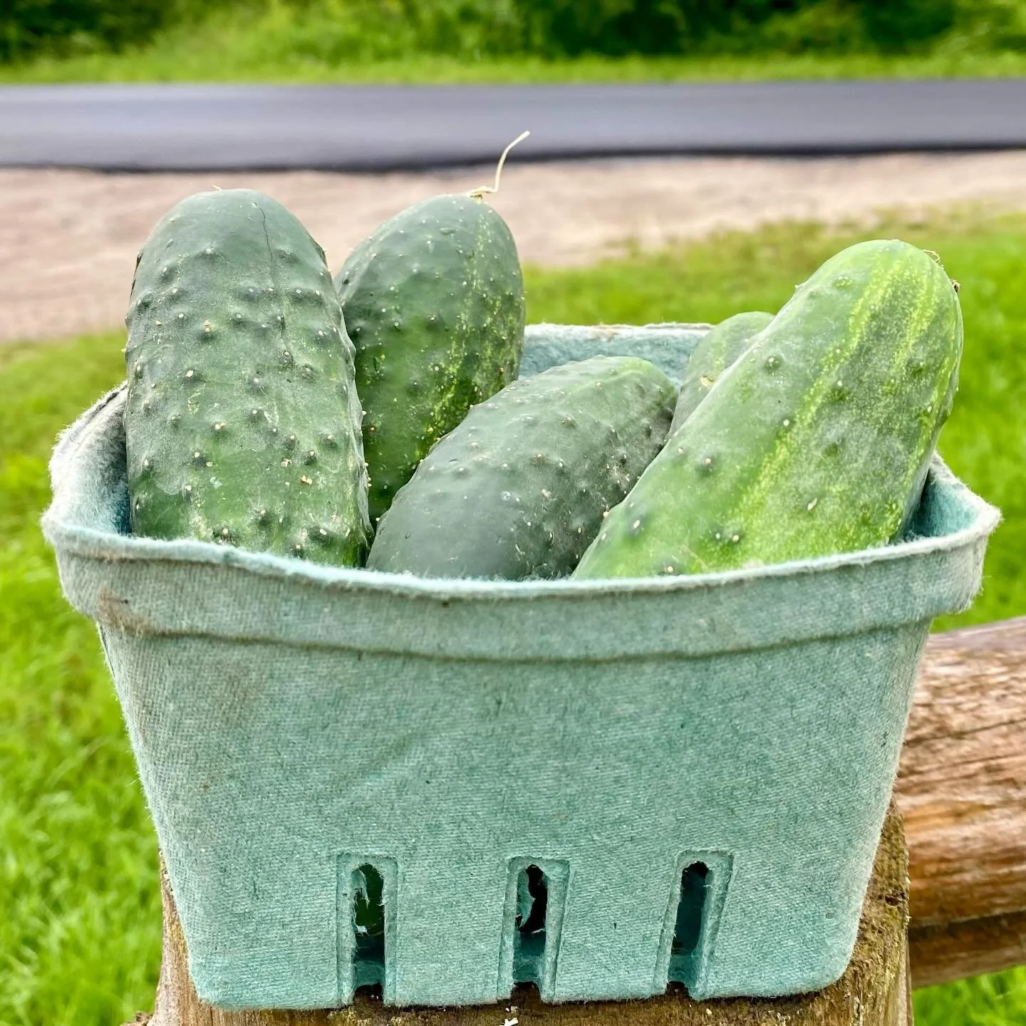 What is a CSA, anyway?🧅🌽🍅 CSA stands for Community Supported Agriculture. When you join a CSA, you purchase a share of a farm&rsquo;s harvest at the start of the season and receive fresh vegetables each week as they&rsquo;re harvested. Your member