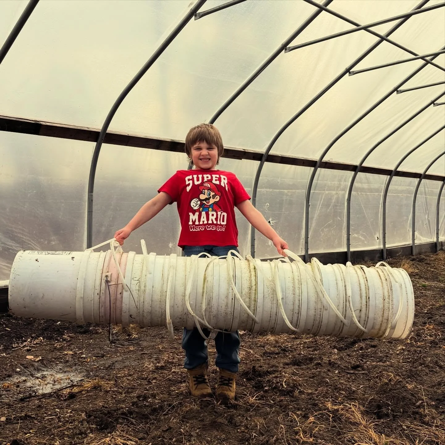 Greenhouse clean up = in progress! We&rsquo;re trying to do a better job of taking photos this year. When we were in the process of announcing this year&rsquo;s vegetable CSA sign ups, we realized that we had only taken a handful of pictures of our g