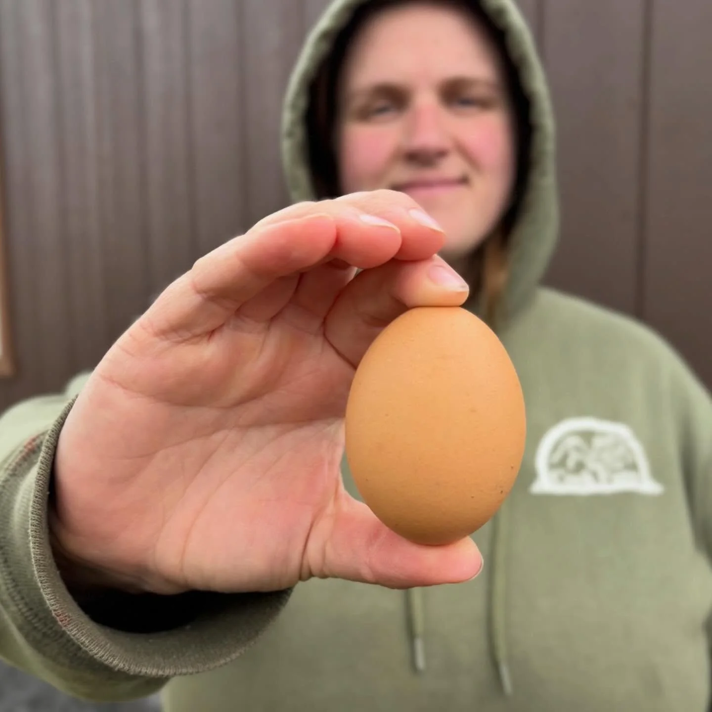 Let&rsquo;s talk about egg pricing! (Or maybe pricing in general?) We had someone reach out to us a while ago about eggs, which we have recently started purchasing from another local farm in Duane. We stopped raising laying hens ourselves last year d