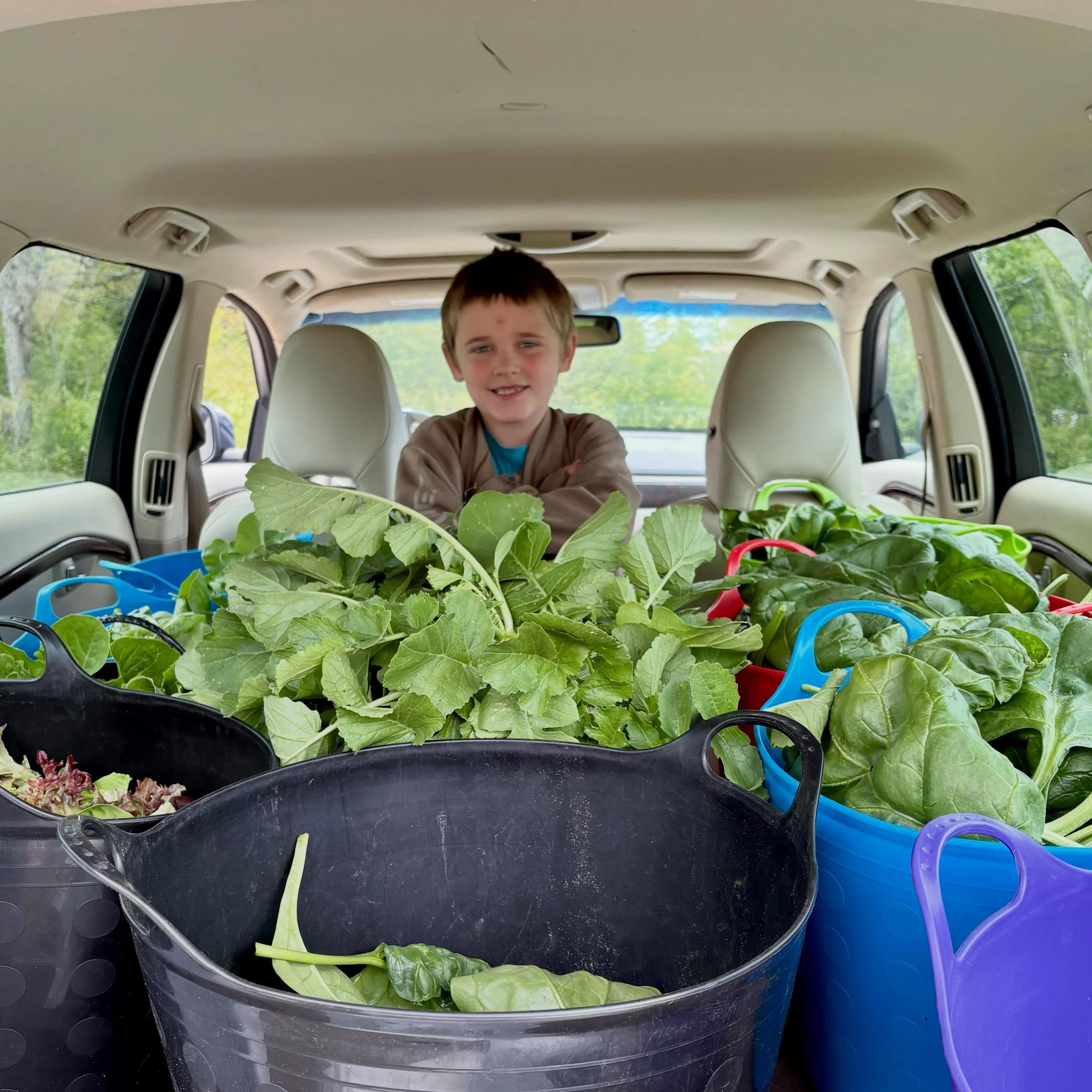 Today was the first day of our 2026 vegetable CSA season. We absolutely love getting to drive around making deliveries and visiting with our members. All of them will be eating their greens this week, that&rsquo;s for sure!