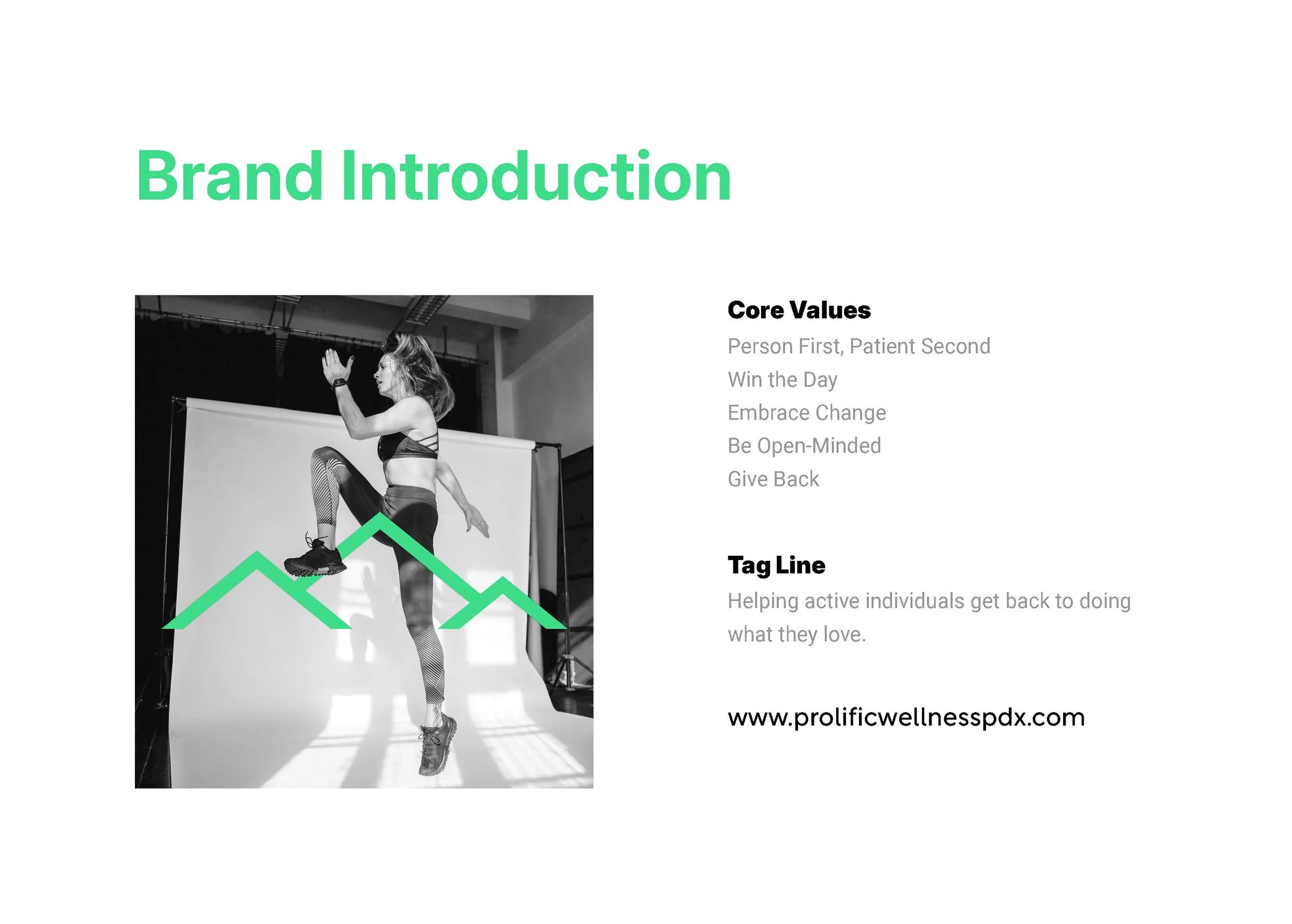 pw-visual-guidelines_Page_03.jpg