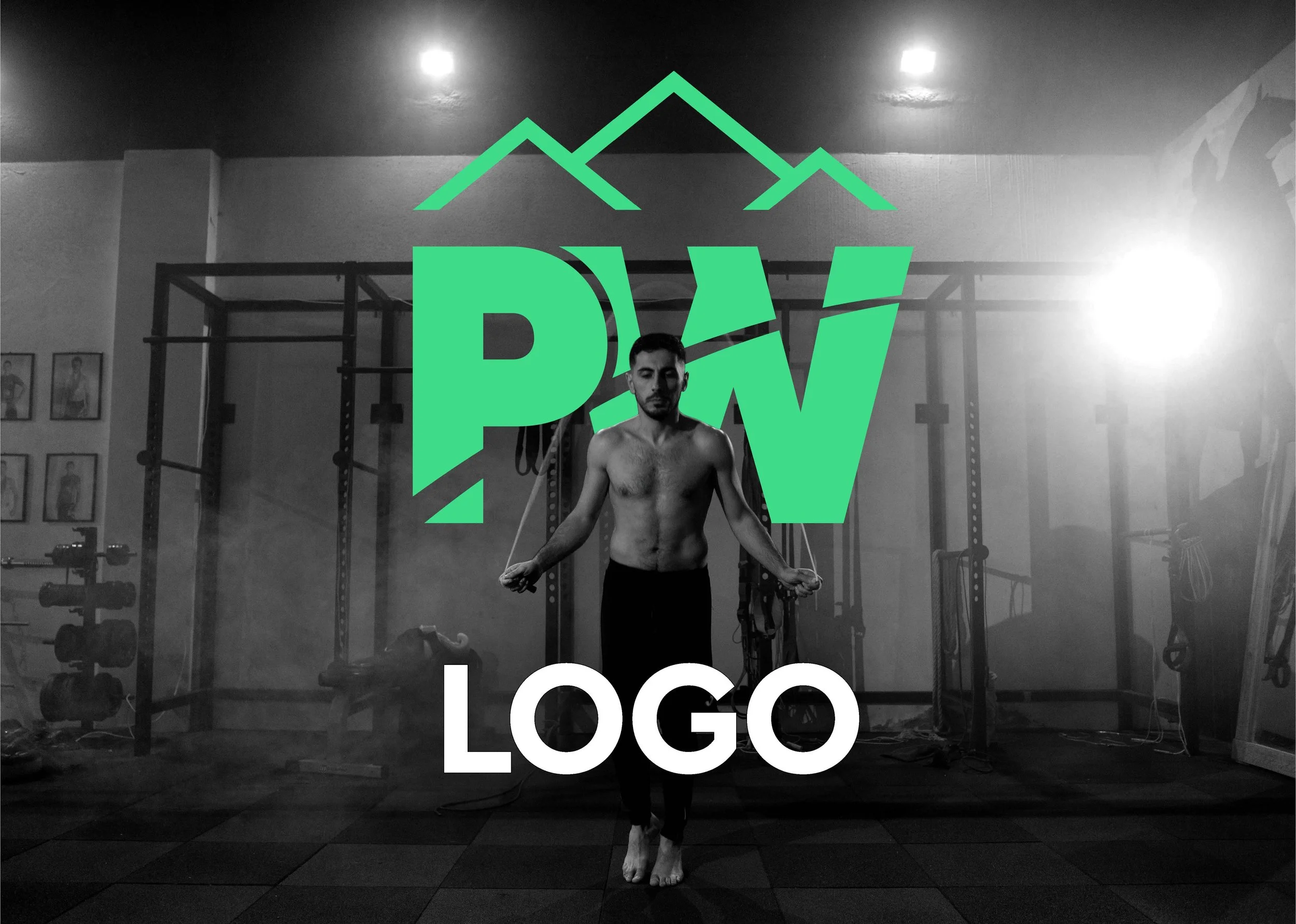 pw-visual-guidelines_Page_04.jpg
