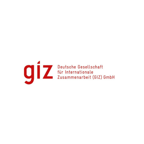 giz logo.png
